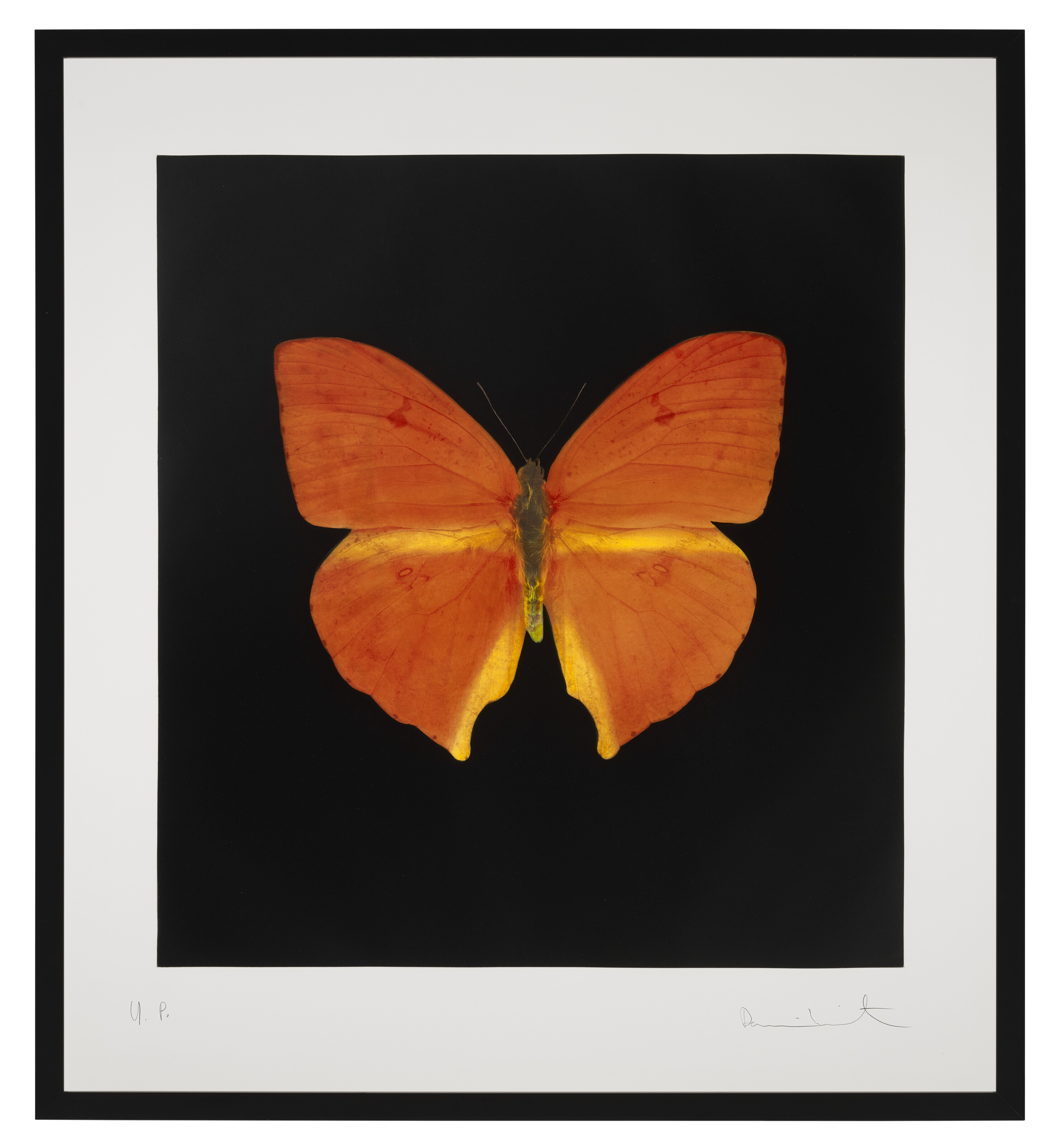 Damien Hirst — Души, поднимающиеся по Лестнице Иакова, Совершают Свой Полет (Уникальный), изображение 2