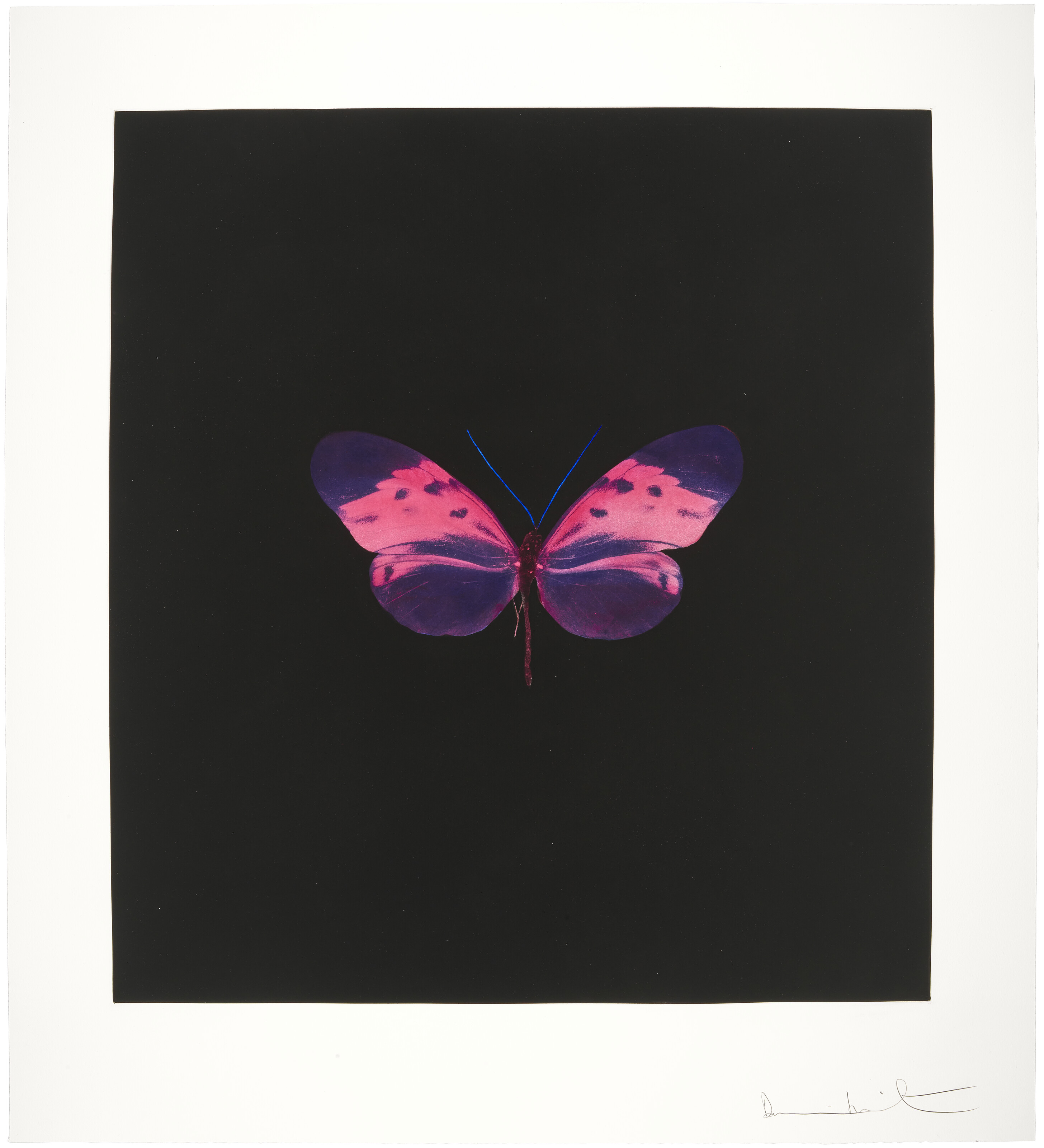 Damien Hirst — Сувенир : Один отпечаток