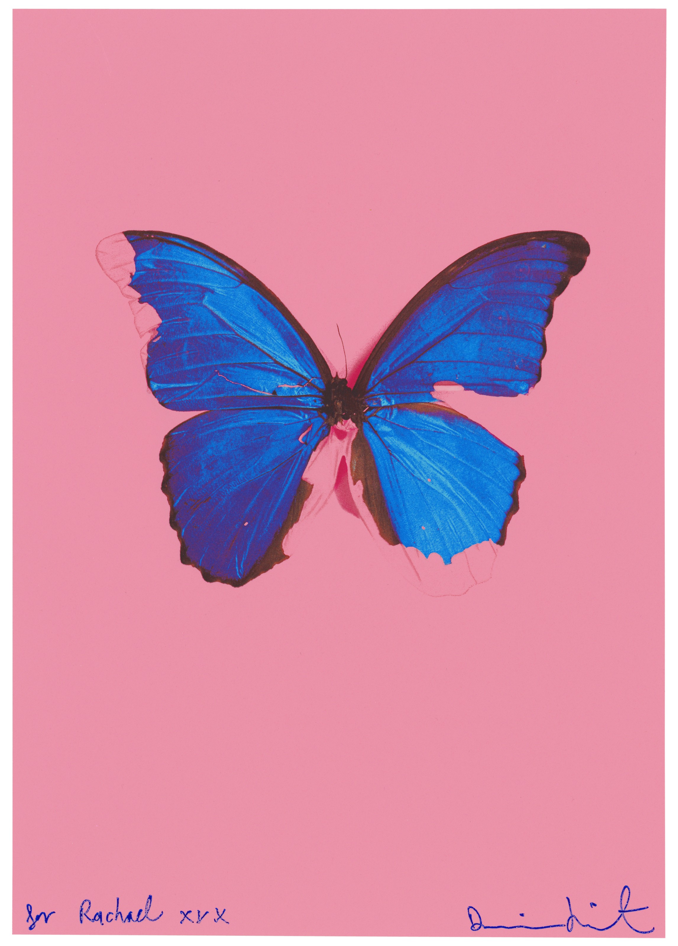 Damien Hirst — Голубая бабочка, от: В самый темный час может быть свет.