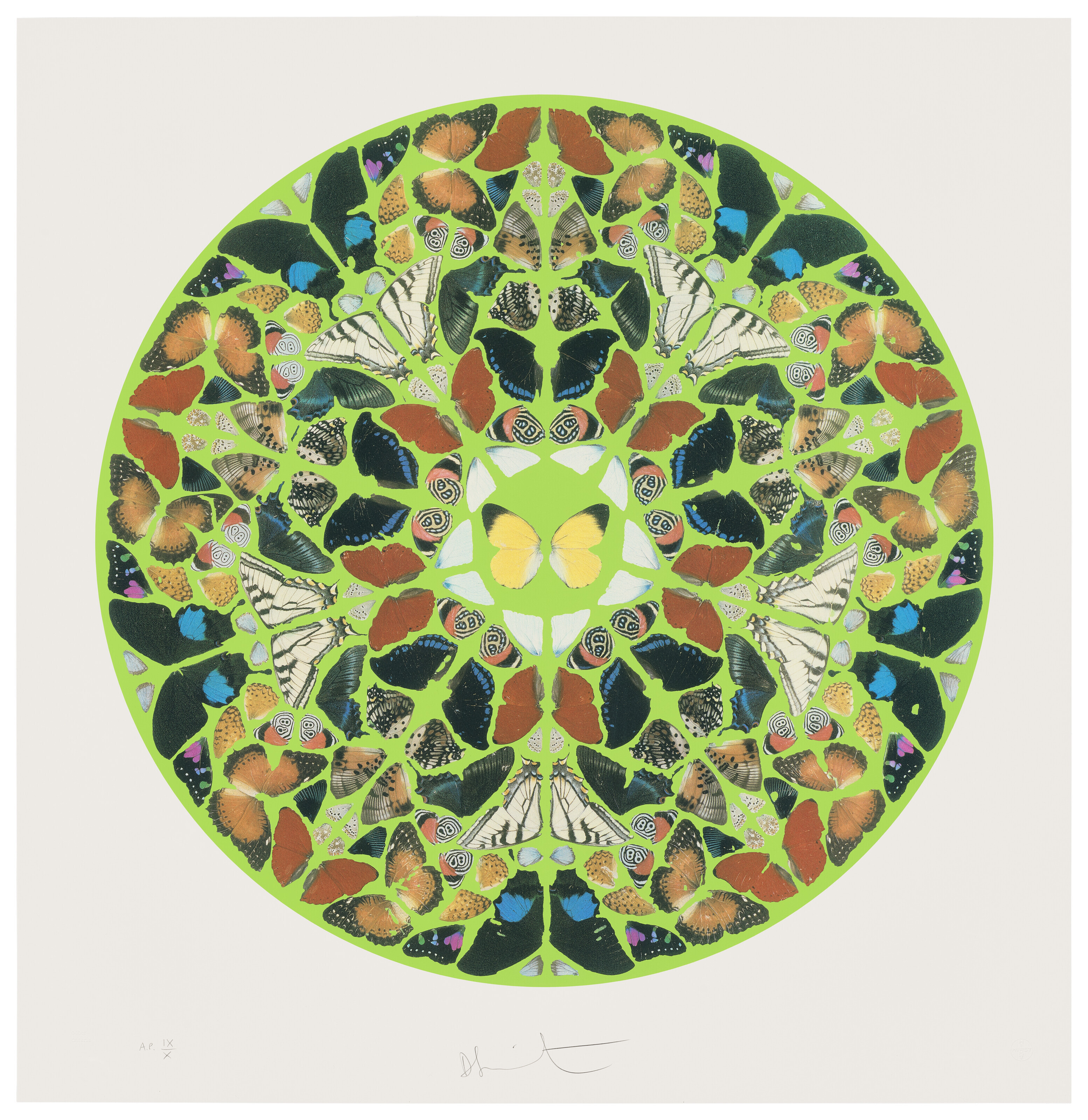 Damien Hirst — Гравюра с псалмом: Домини есть земля
