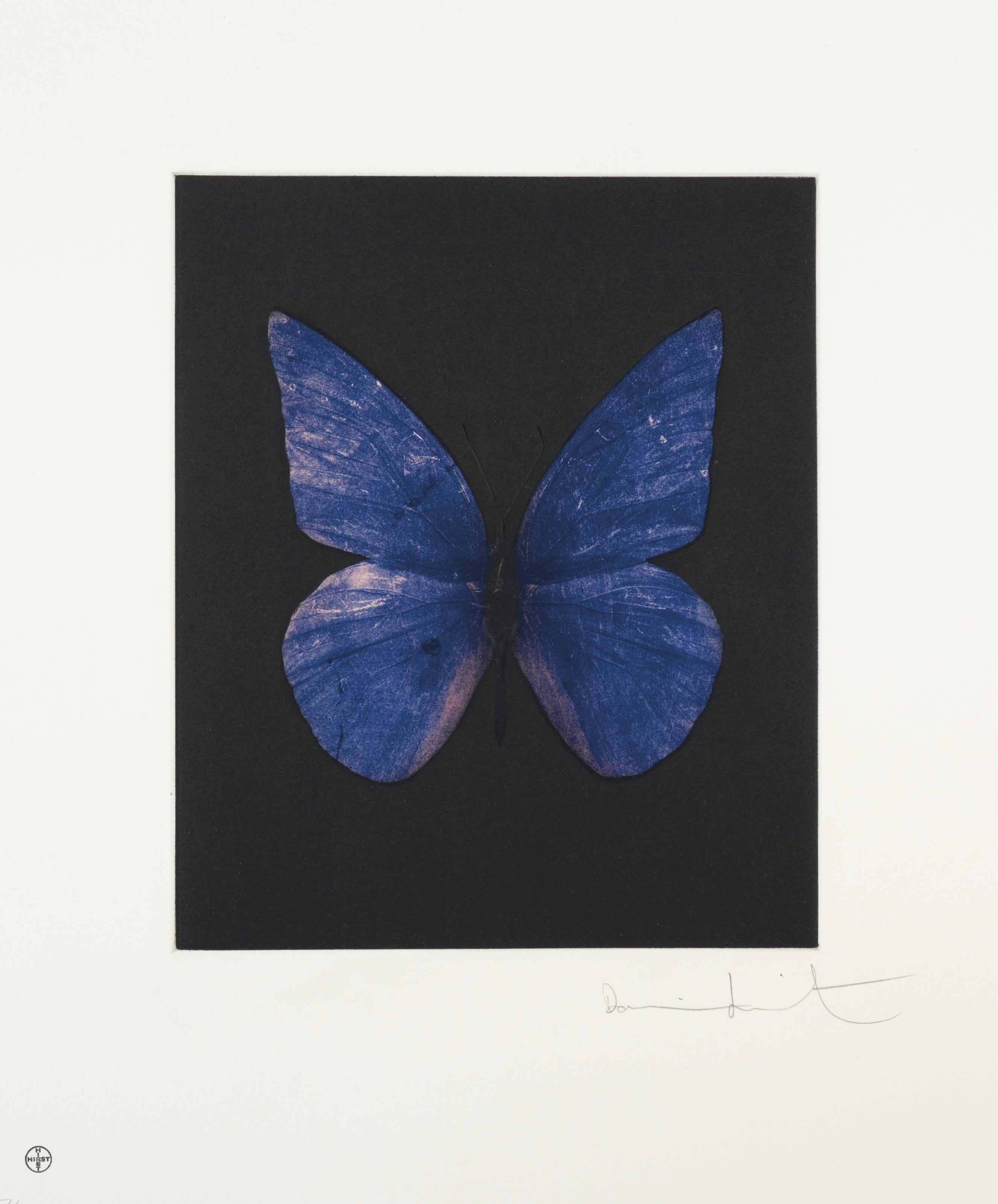 Damien Hirst — Обновление