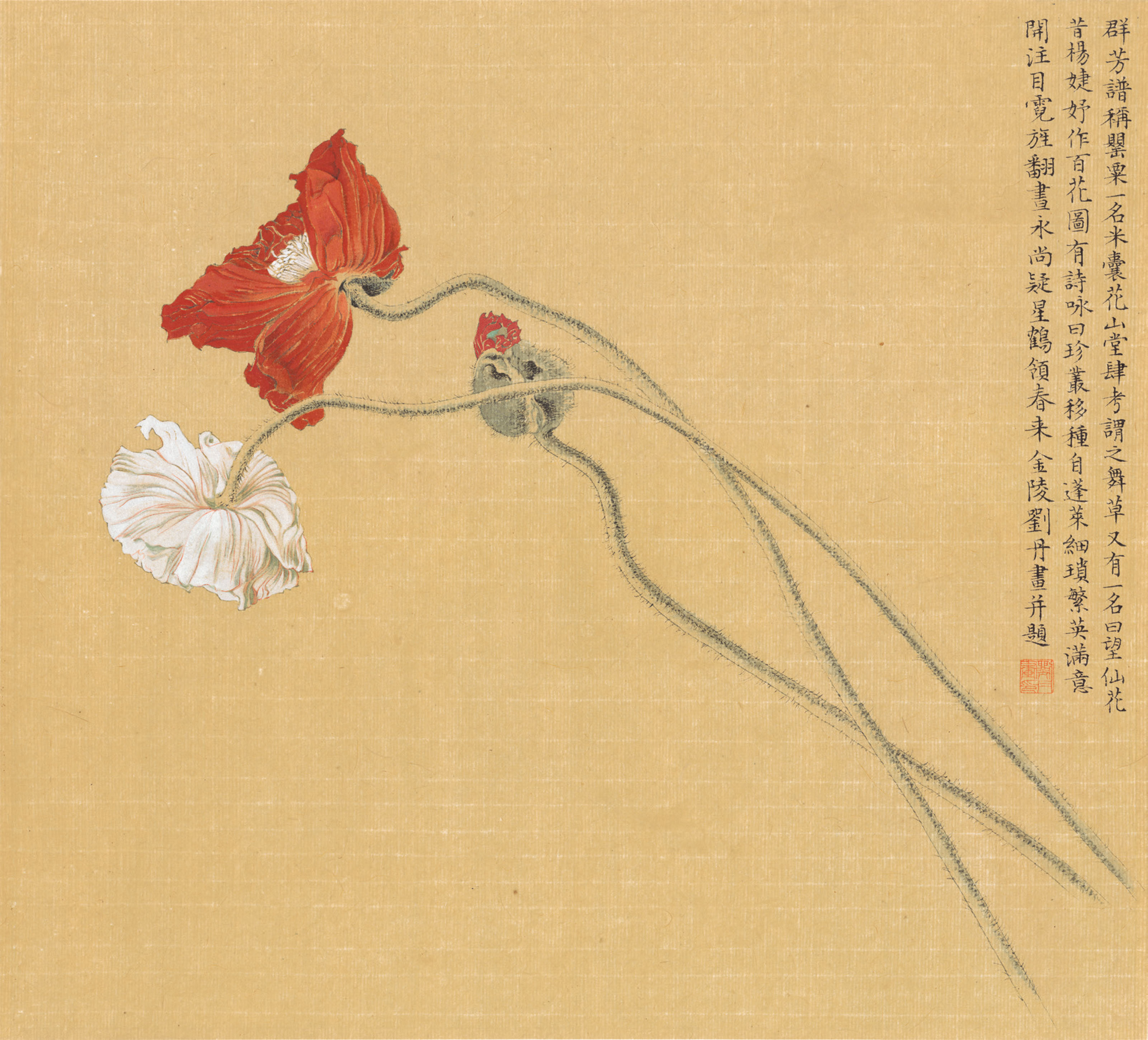 Dan Liu — Маки