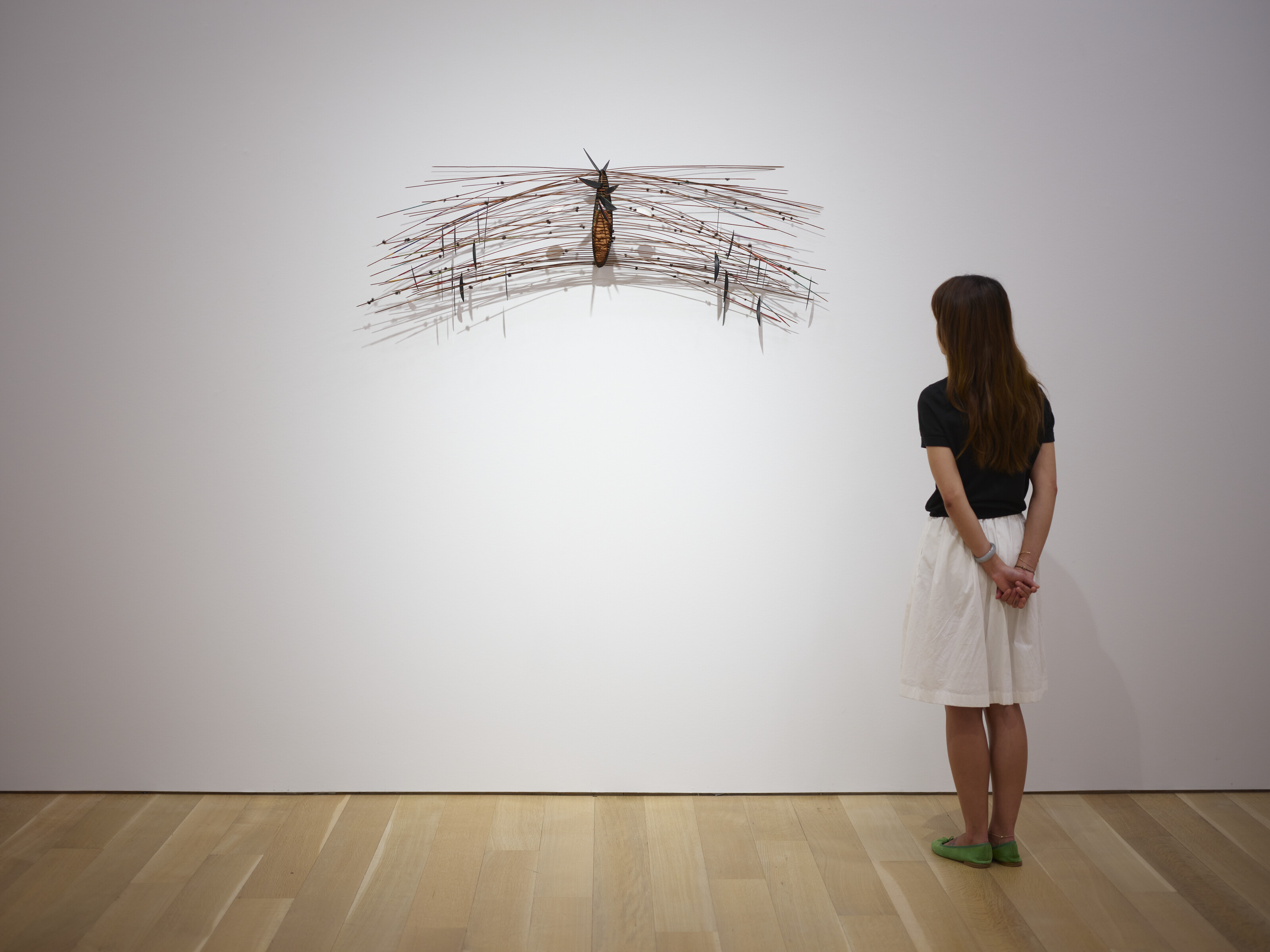 David Hammons — Без названия (Полет фантазии), изображение 4