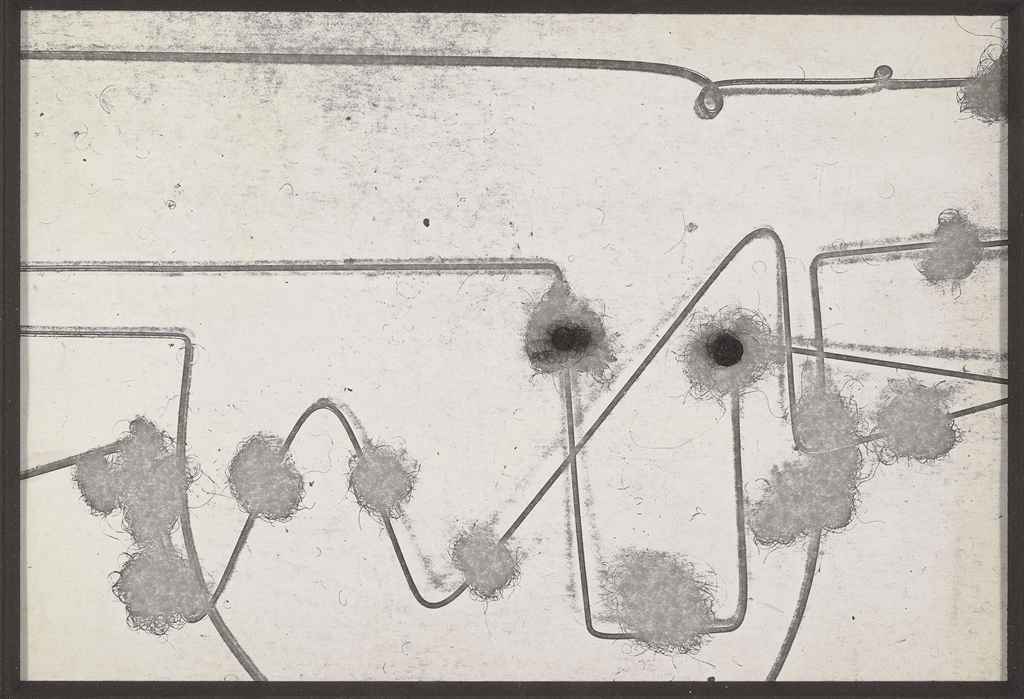 David Hammons — Без названия (Портрет обнаженной натуры)