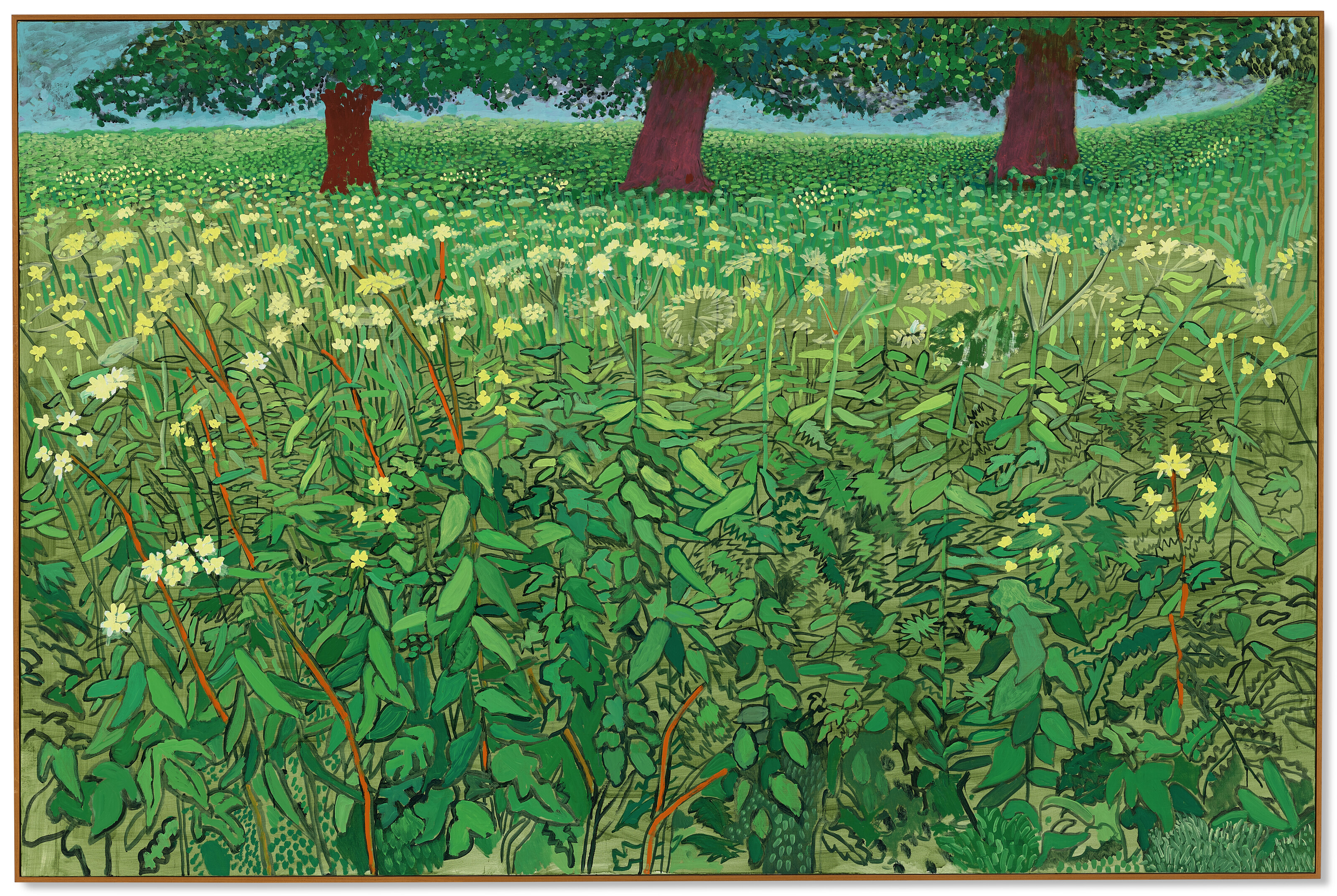 David Hockney — Кружево Королевы Анны близ Килхэма, изображение 2