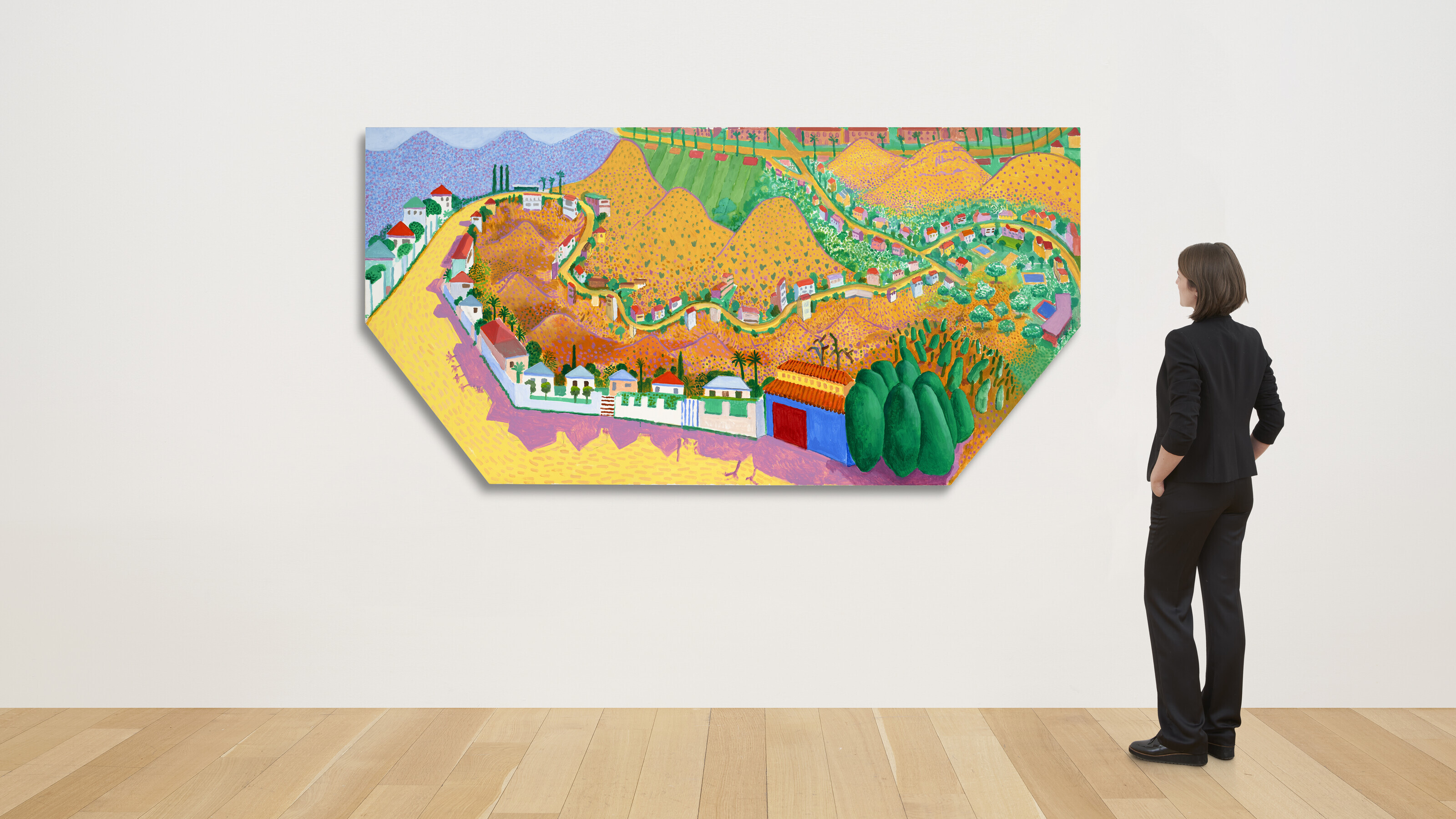 David Hockney — Каньон Николс III, изображение 3