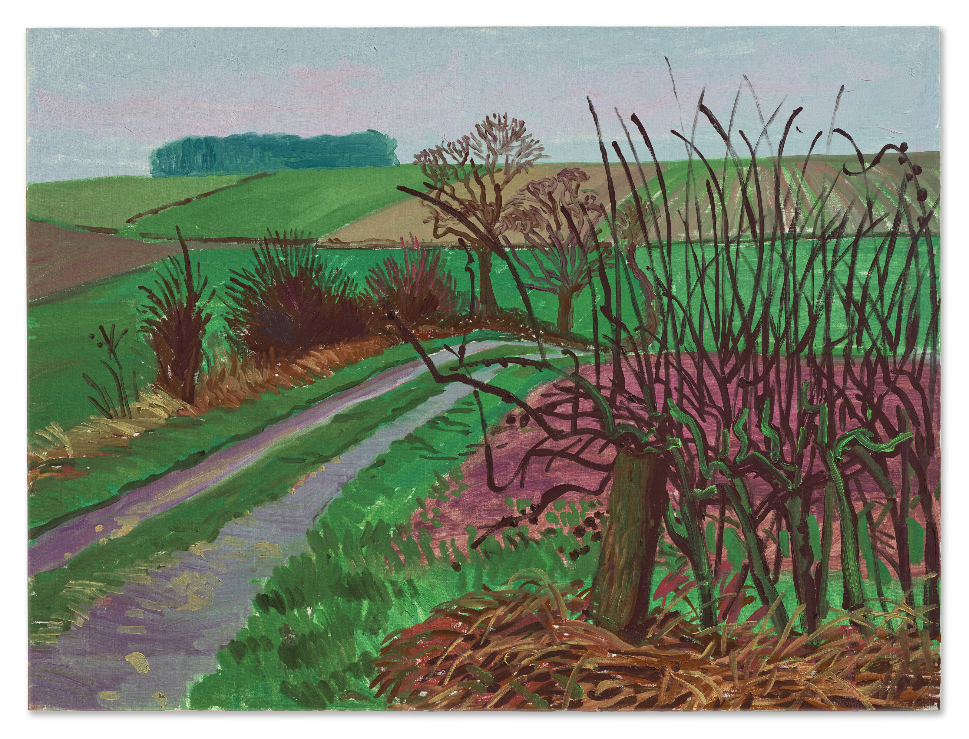 David Hockney — Дорожки и живая изгородь, январь, изображение 1