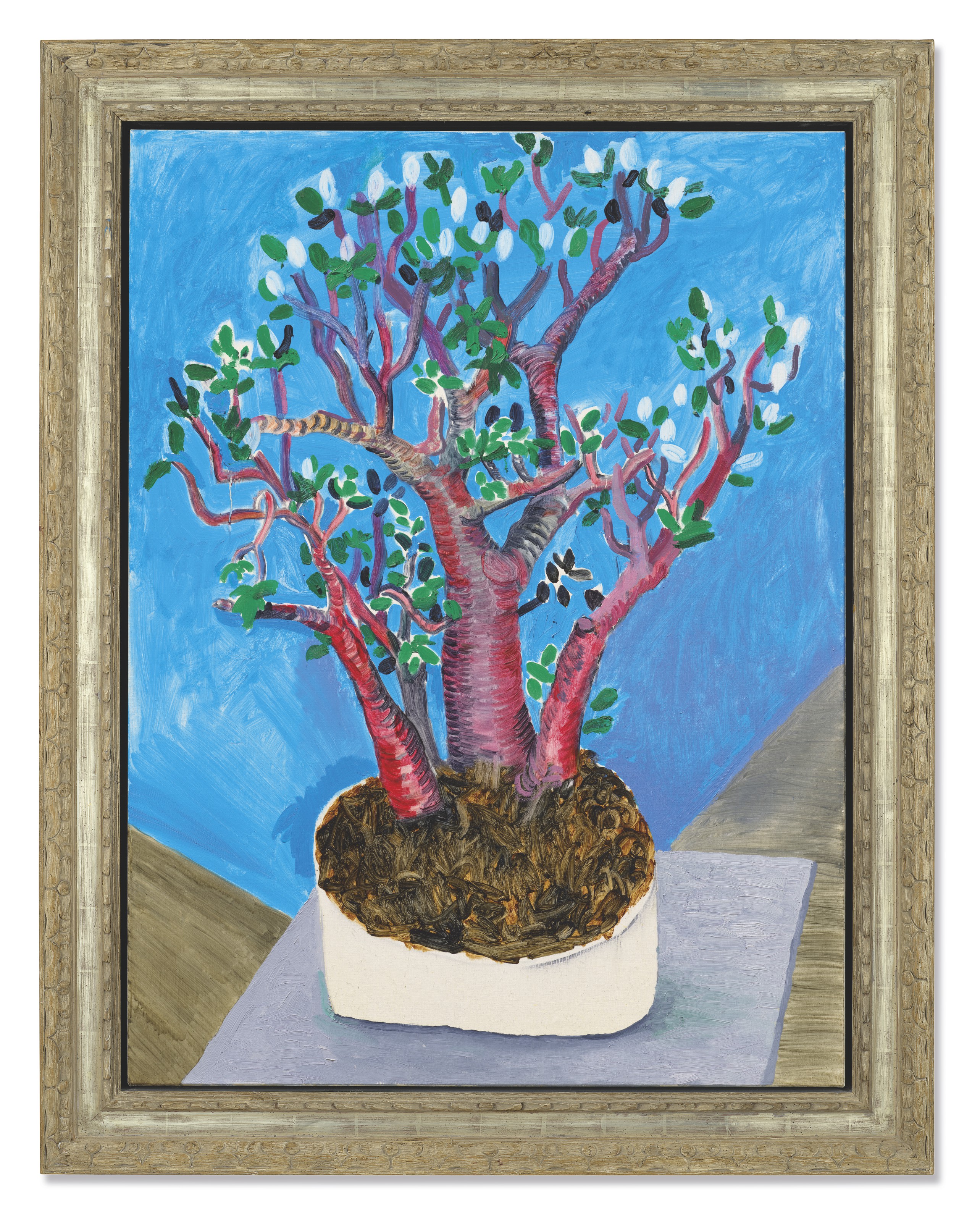 David Hockney — Нефритовое растение, изображение 2