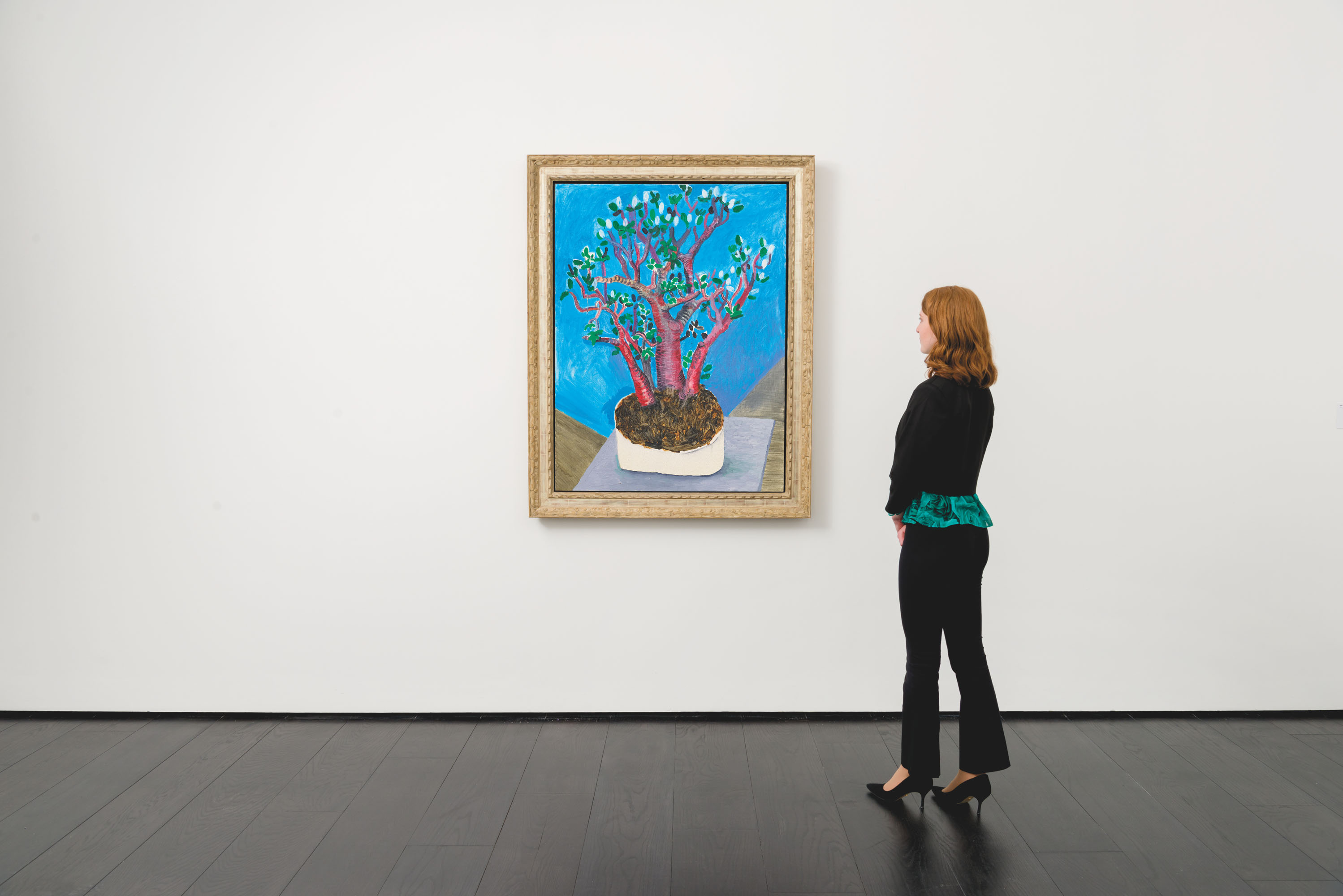 David Hockney — Нефритовое растение, изображение 3