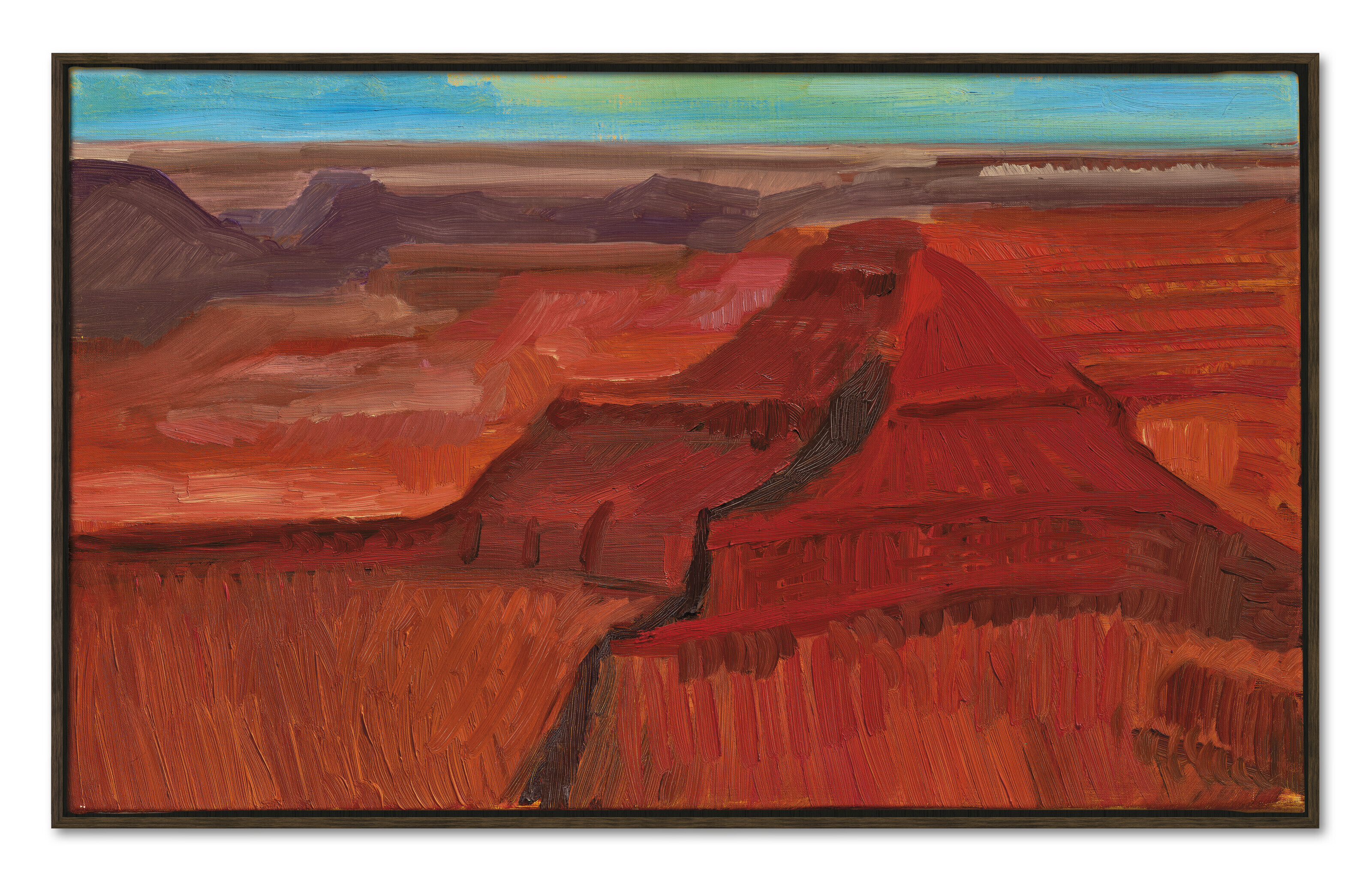 David Hockney — Небольшое исследование Большого каньона, изображение 3