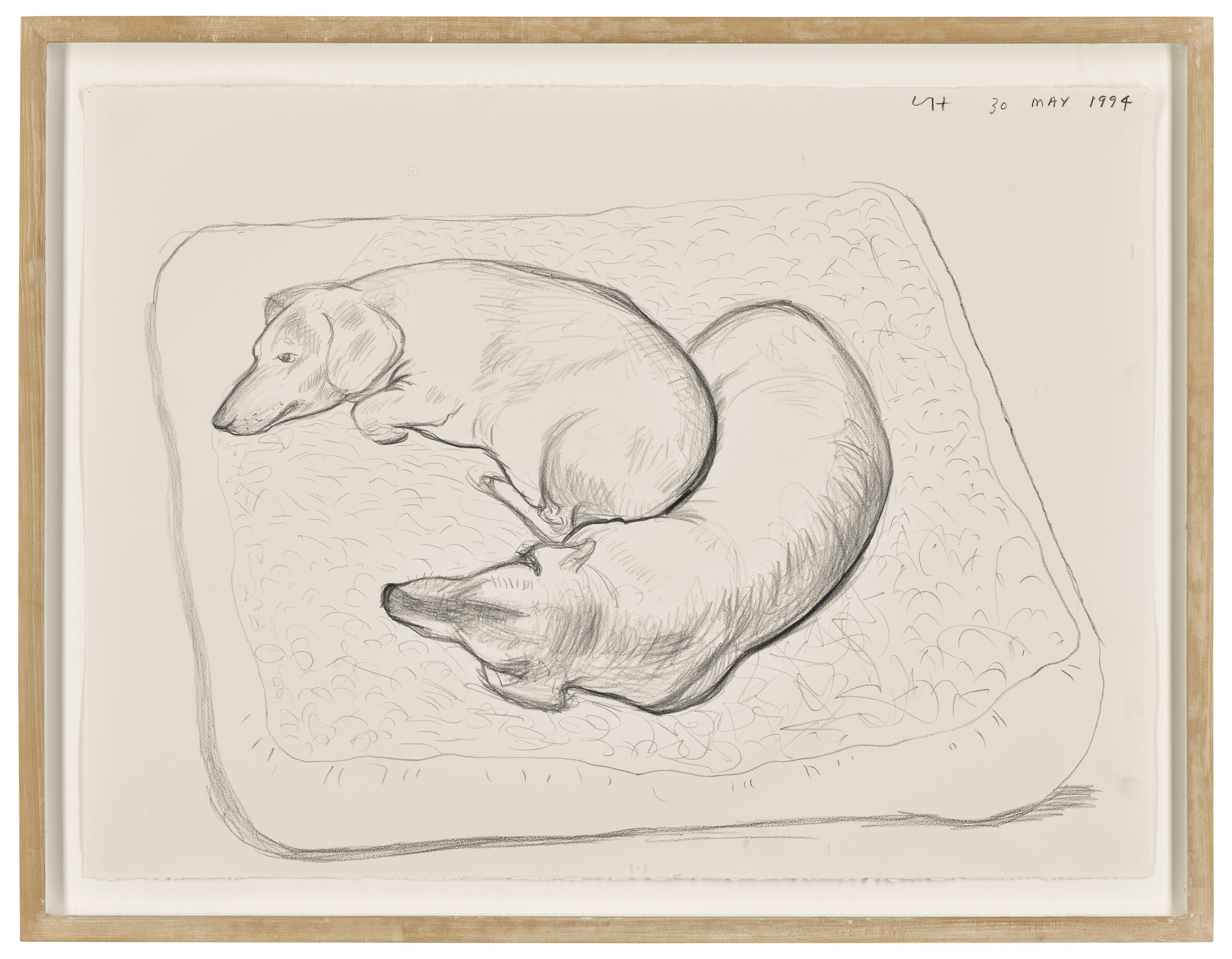 David Hockney — Буджи и Стэнли, 30 мая 1994 года, изображение 2