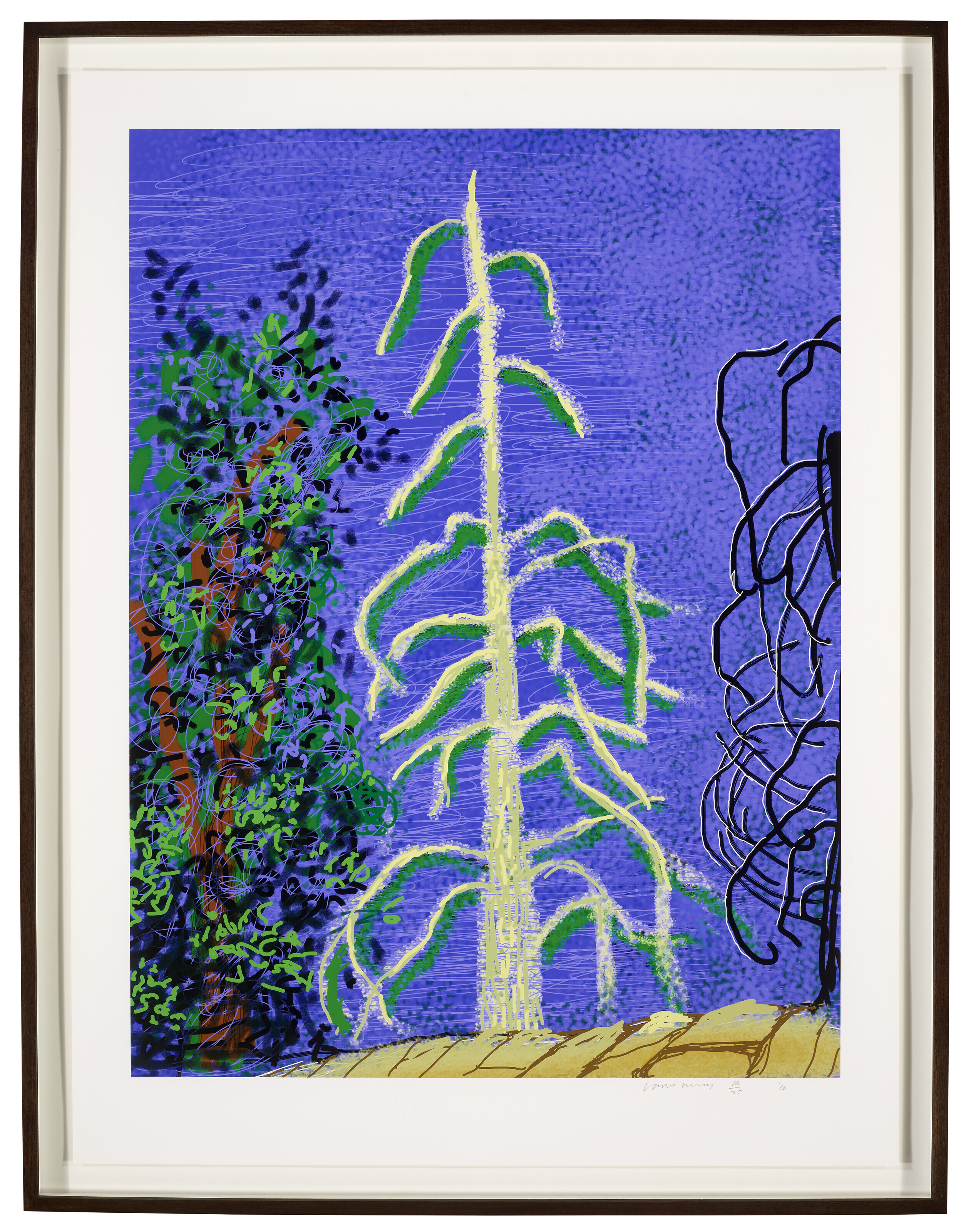 David Hockney — Без названия, № 14, из "Йосемитского набора", изображение 2
