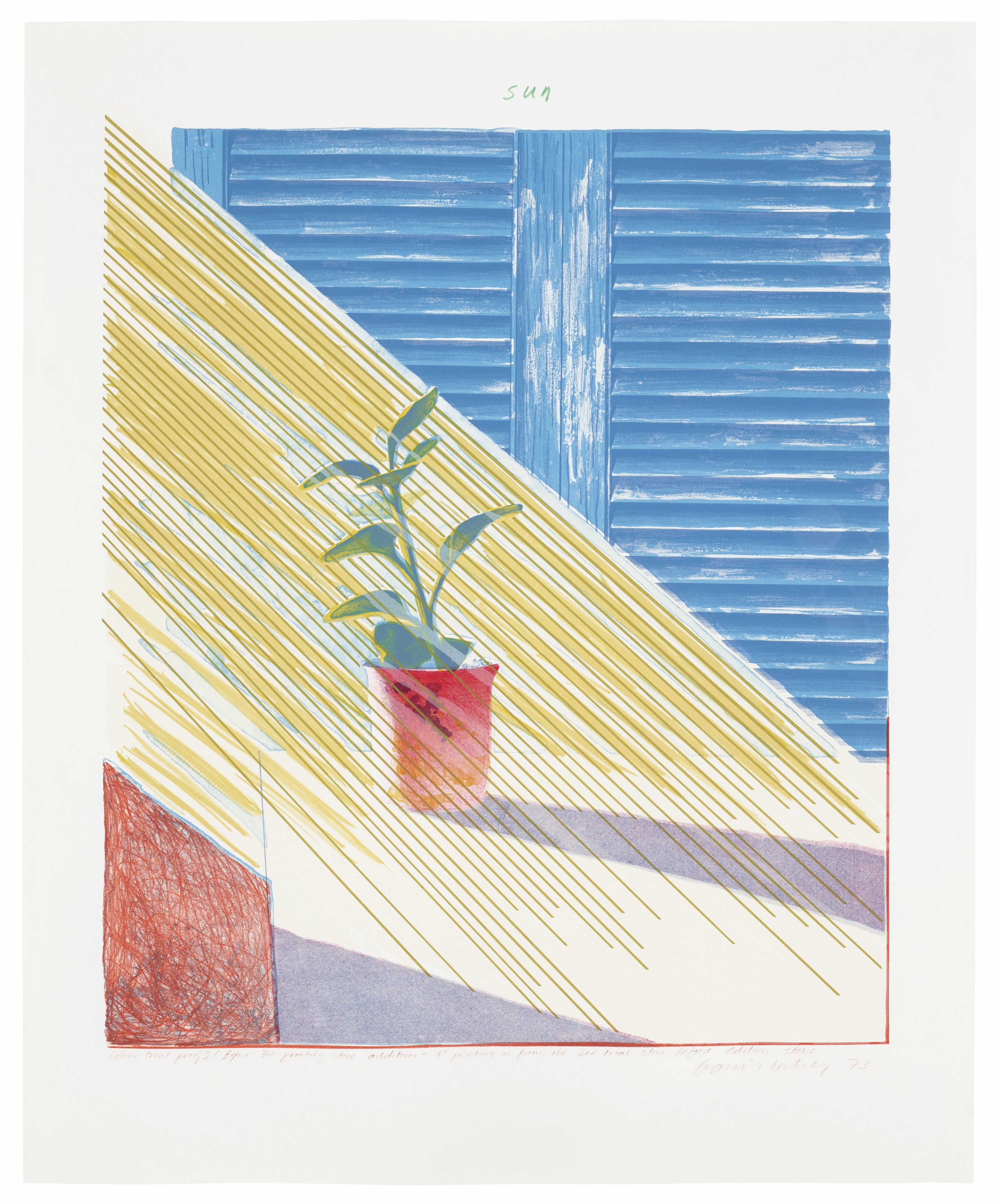 David Hockney — Солнечное состояние I