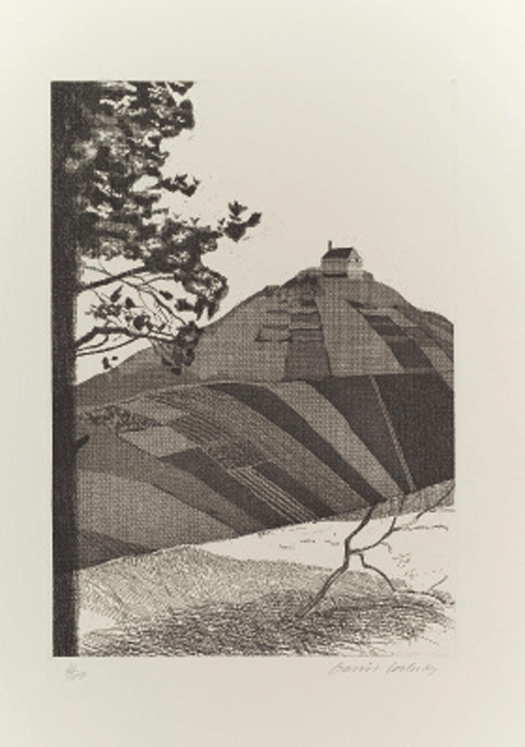 David Hockney — Иллюстрации к шести сказкам Братьев Гримм (S.A.C. 70-108; Токио 67-105), изображение 7