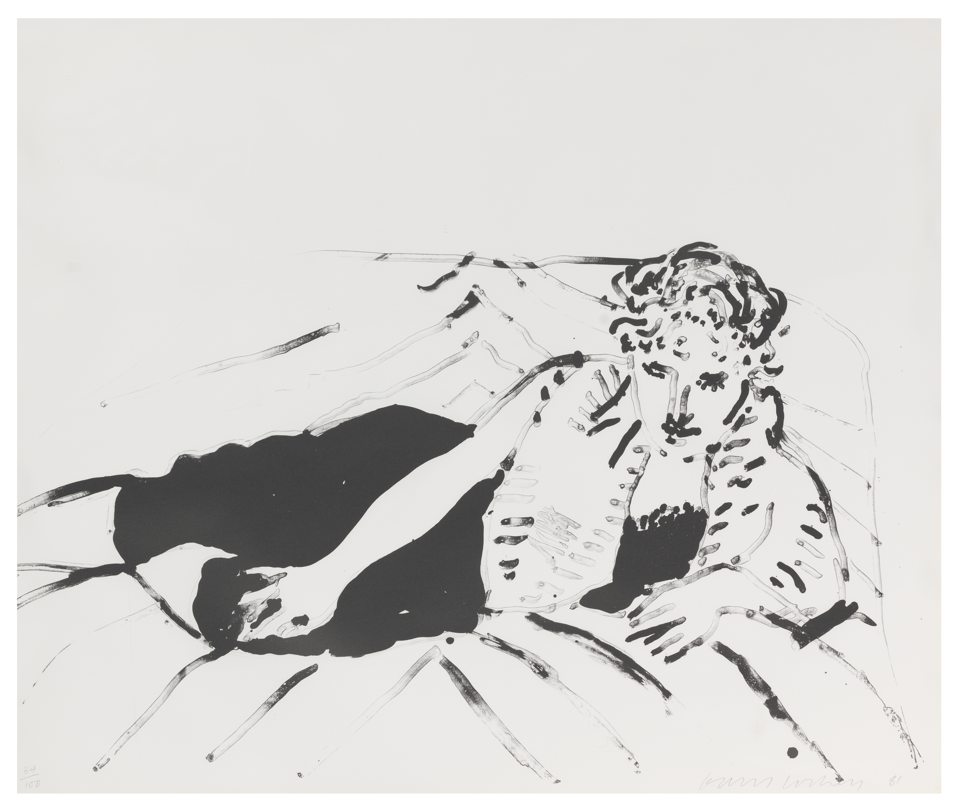 David Hockney — Крупный принт Селии №1