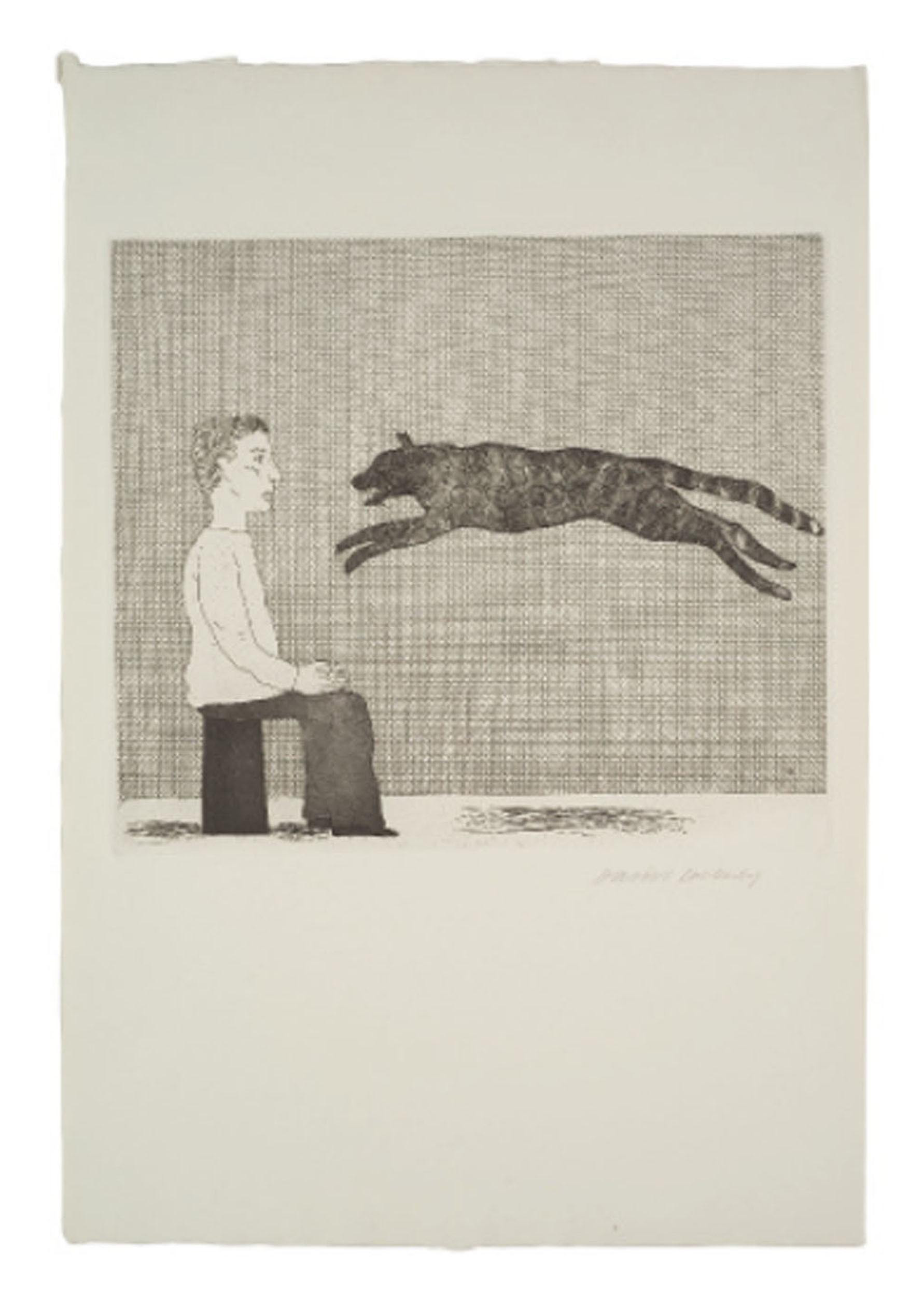 David Hockney — Иллюстрации к шести сказкам Братьев Гримм (S.A.C. 70-108; Токио 67-105), изображение 4