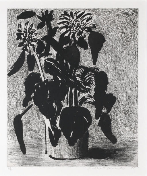 David Hockney — Подсолнух II (к. 348)