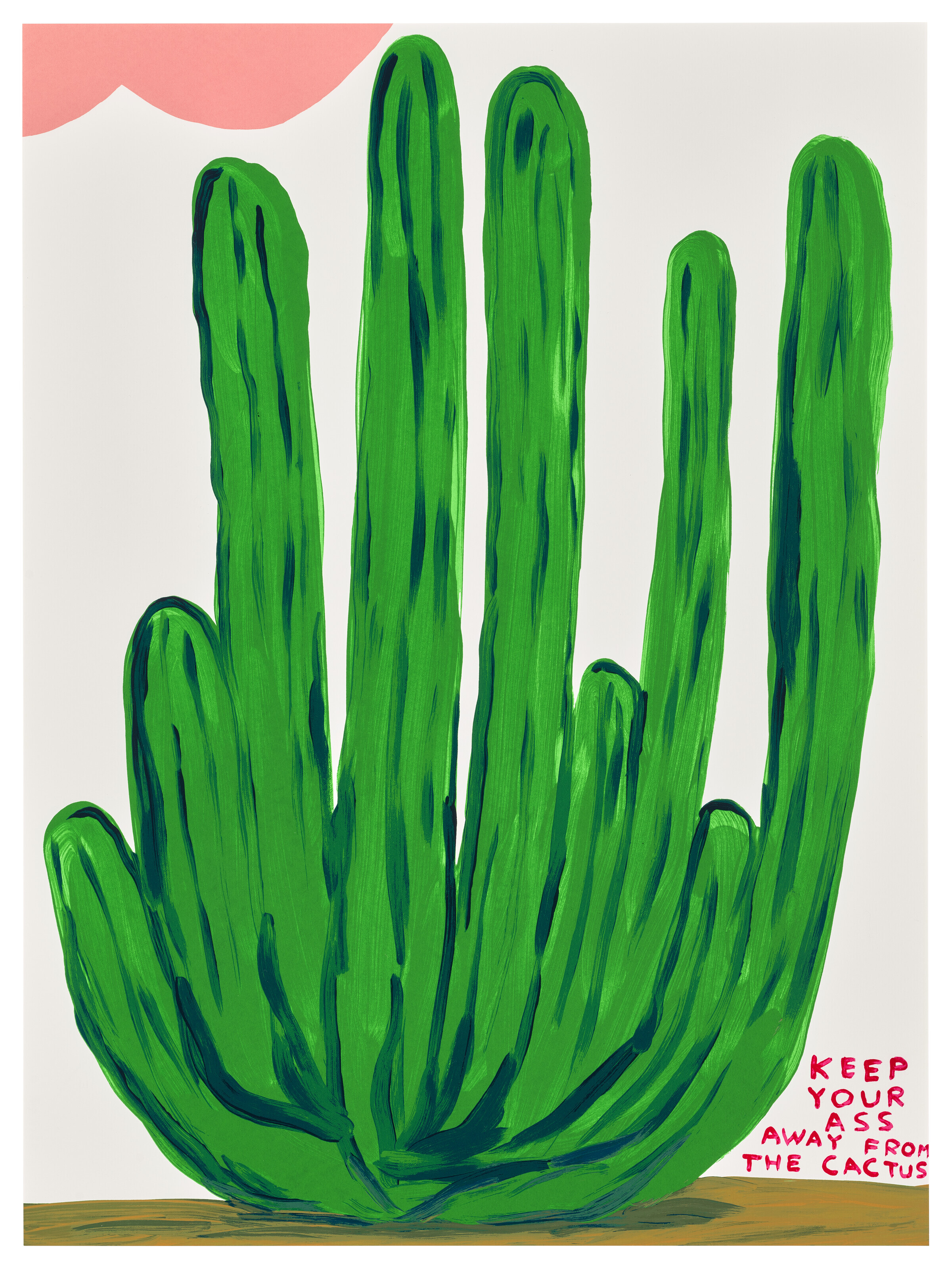 David Shrigley — Держи свою задницу подальше от кактуса
