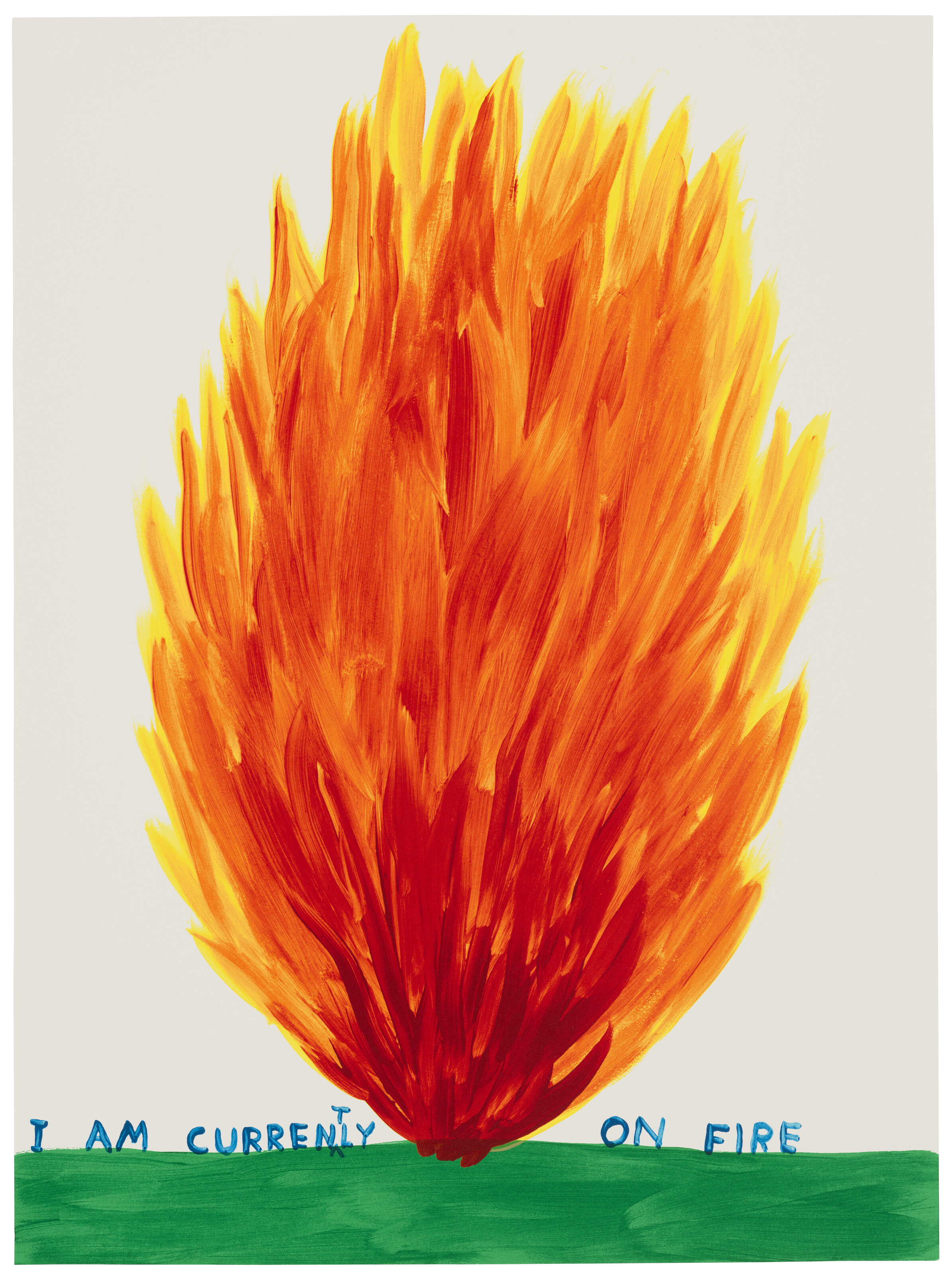 David Shrigley — В Данный Момент Я Весь Горю