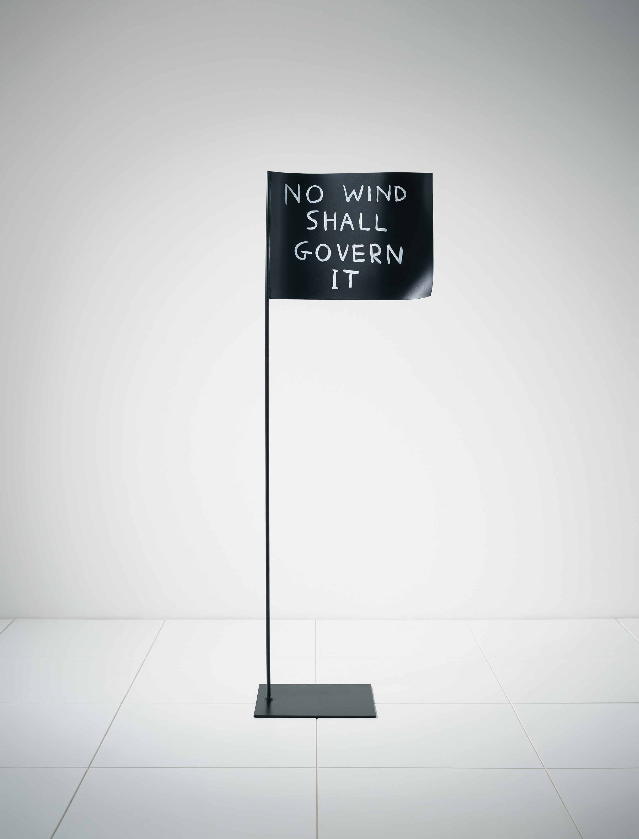 David Shrigley — Металлический флаг, изображение 2