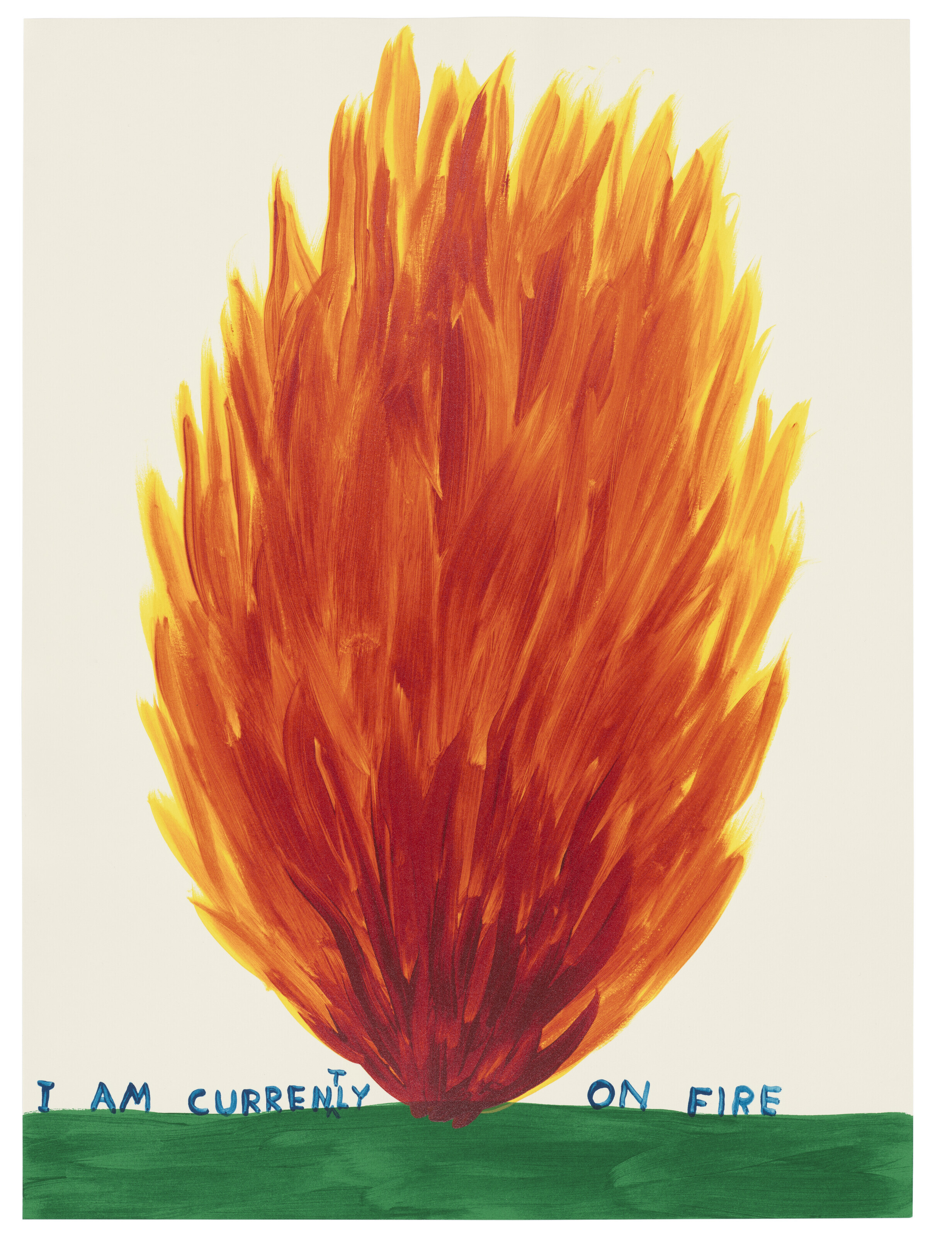 David Shrigley — В Данный Момент Я Весь Горю