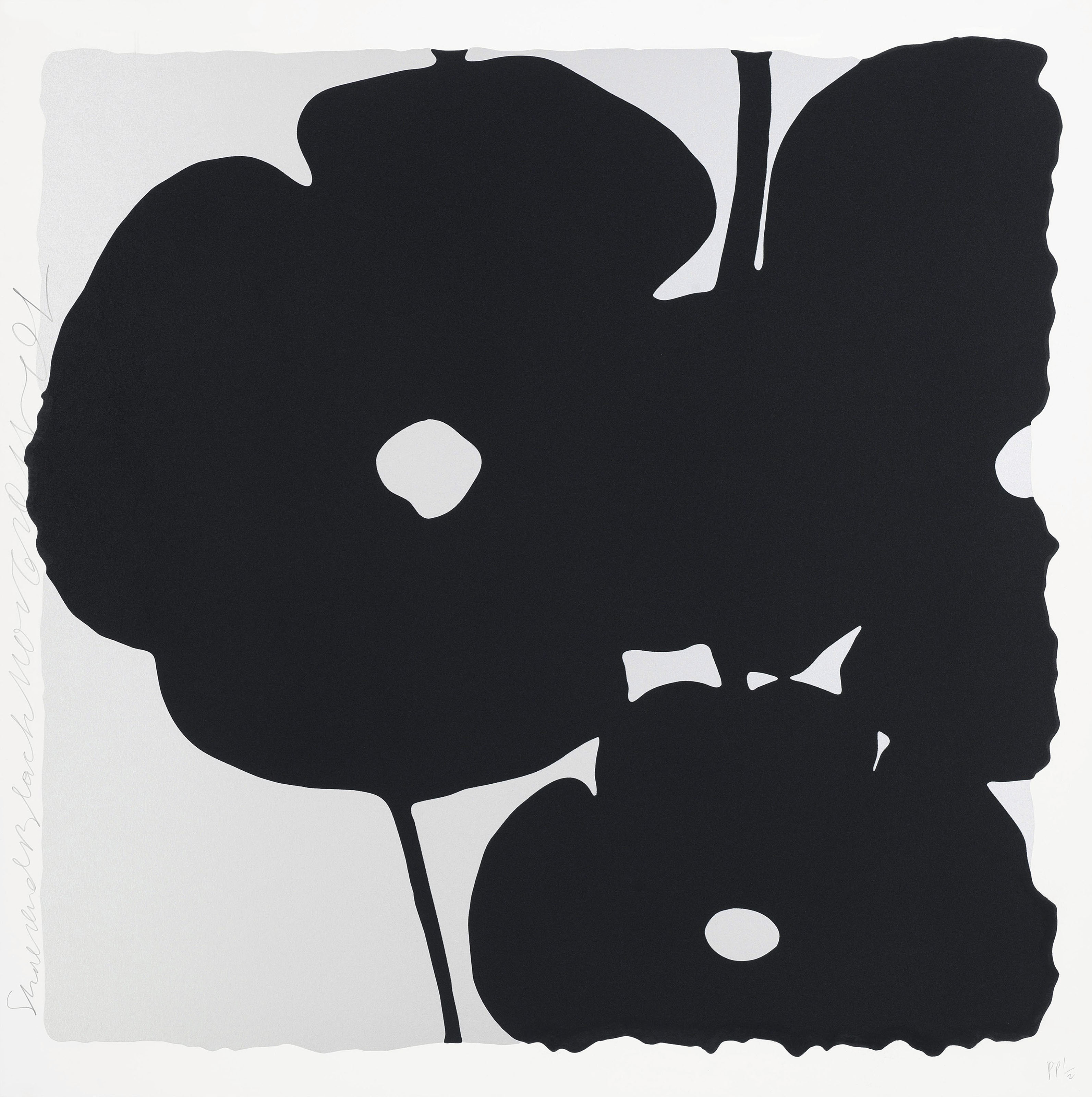 Donald Sultan — Серый и черный, 6 ноября 2015, от Reversal Poppies