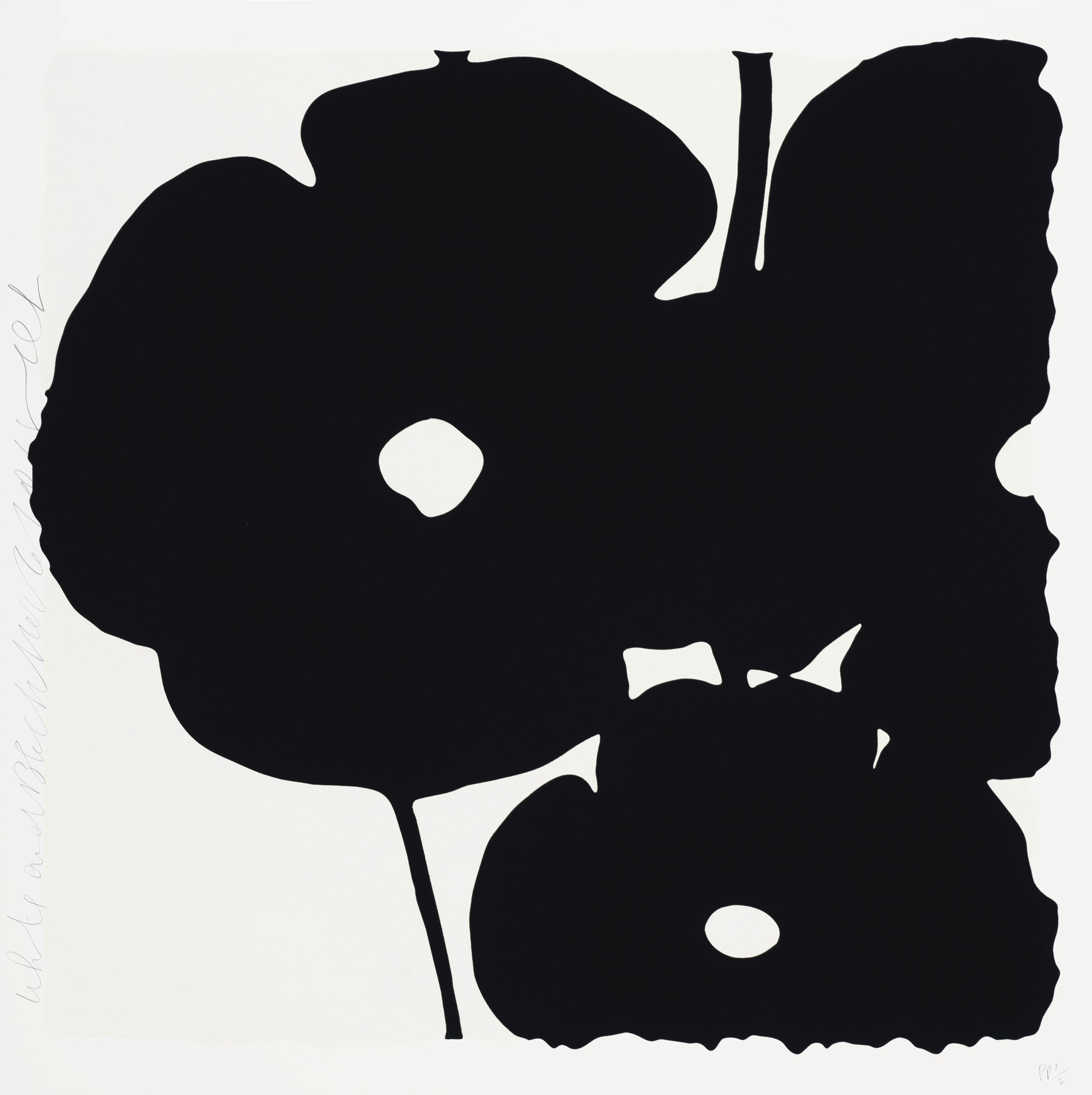 Donald Sultan — Белое и черное, 6 ноября 2015 года, от Reversal Poppies