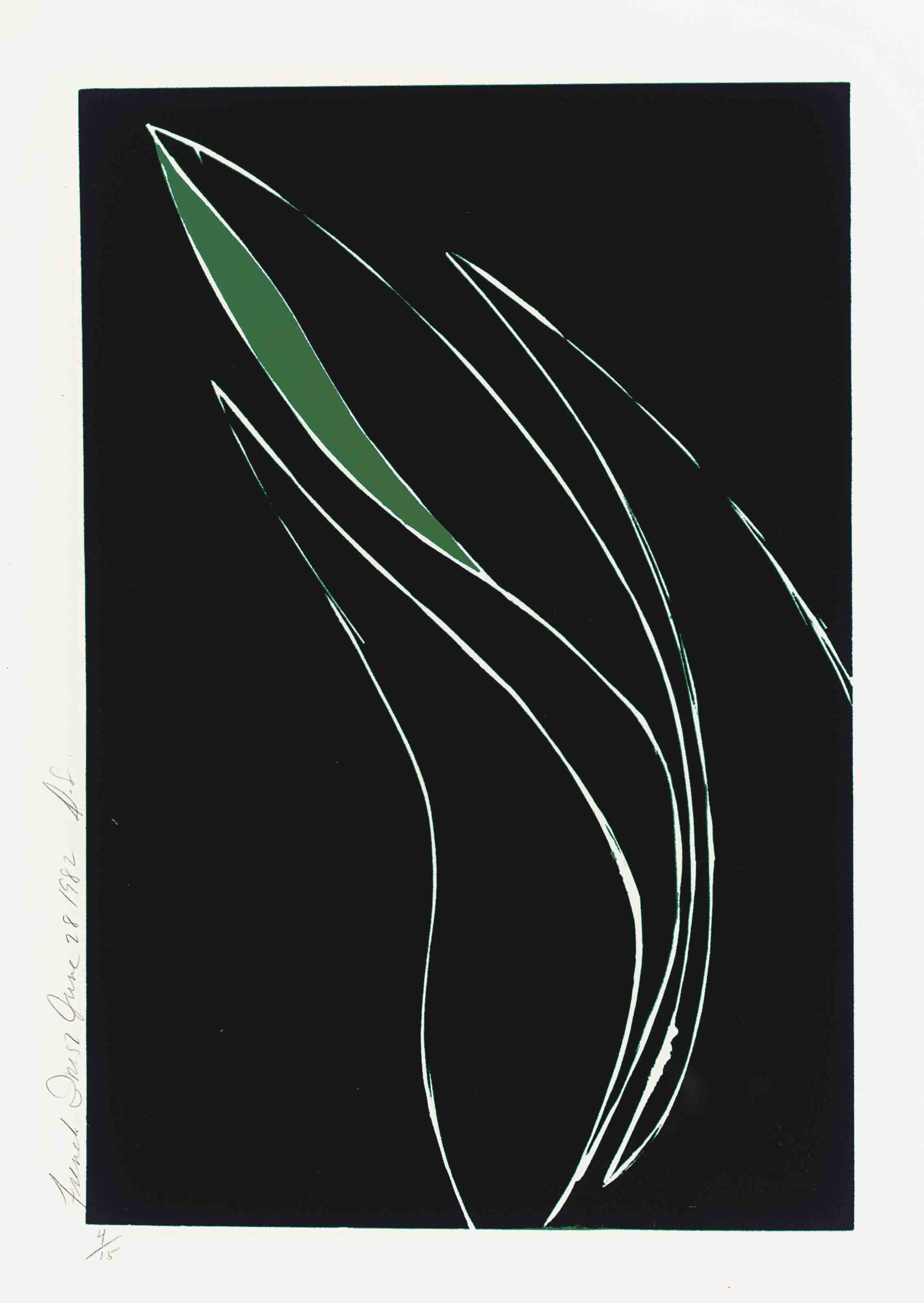 Donald Sultan — Фотографии бродяг - Ирисы, 1982