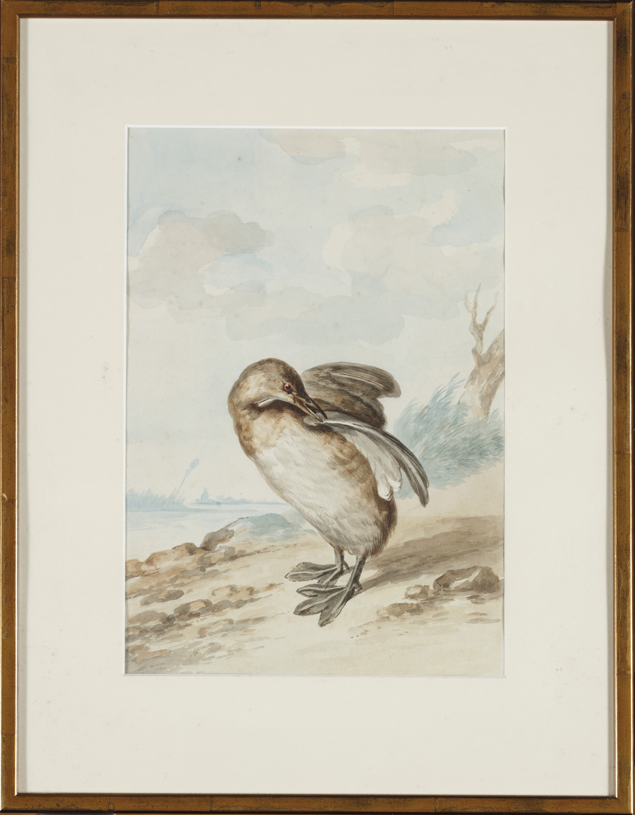 Dutch School — Гребешок кастанье (Tachybaptus ruficollis) -сюр-ле-Риваж, изображение 2