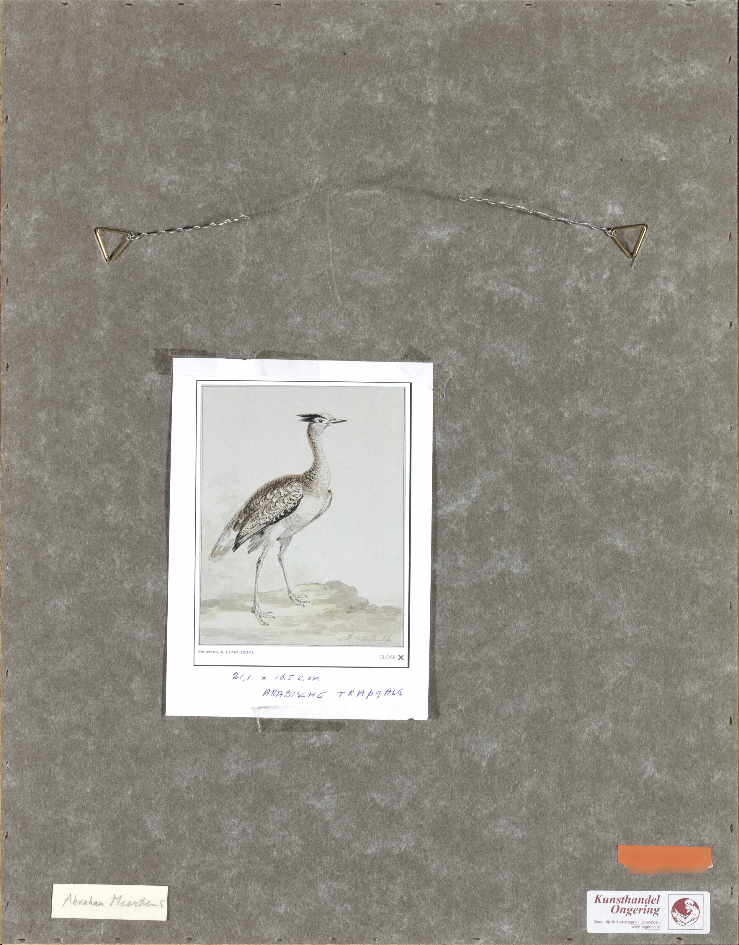 Dutch School — Гребешок кастанье (Tachybaptus ruficollis) -сюр-ле-Риваж, изображение 3