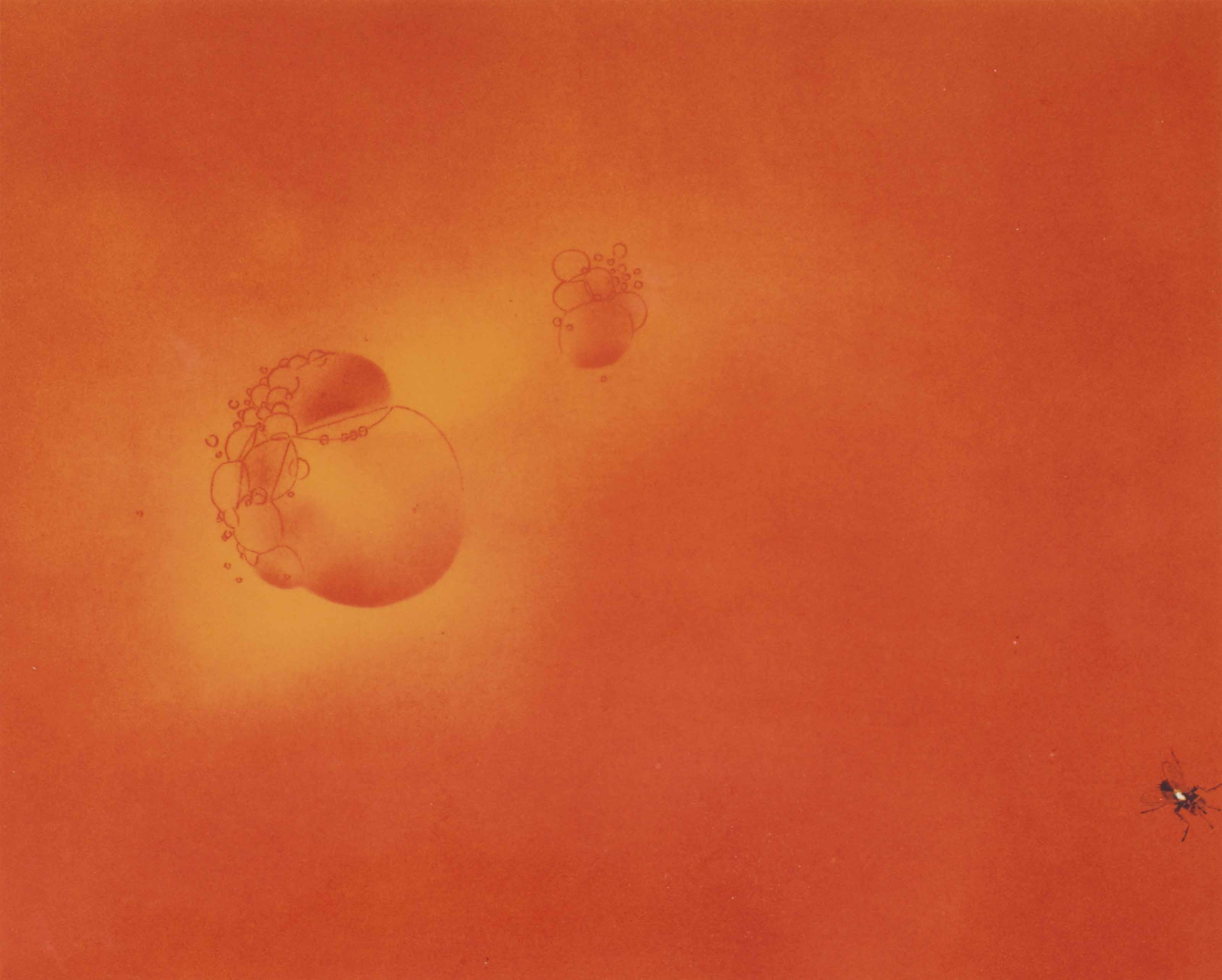 Ed Ruscha — Кипящая кровь, Лети