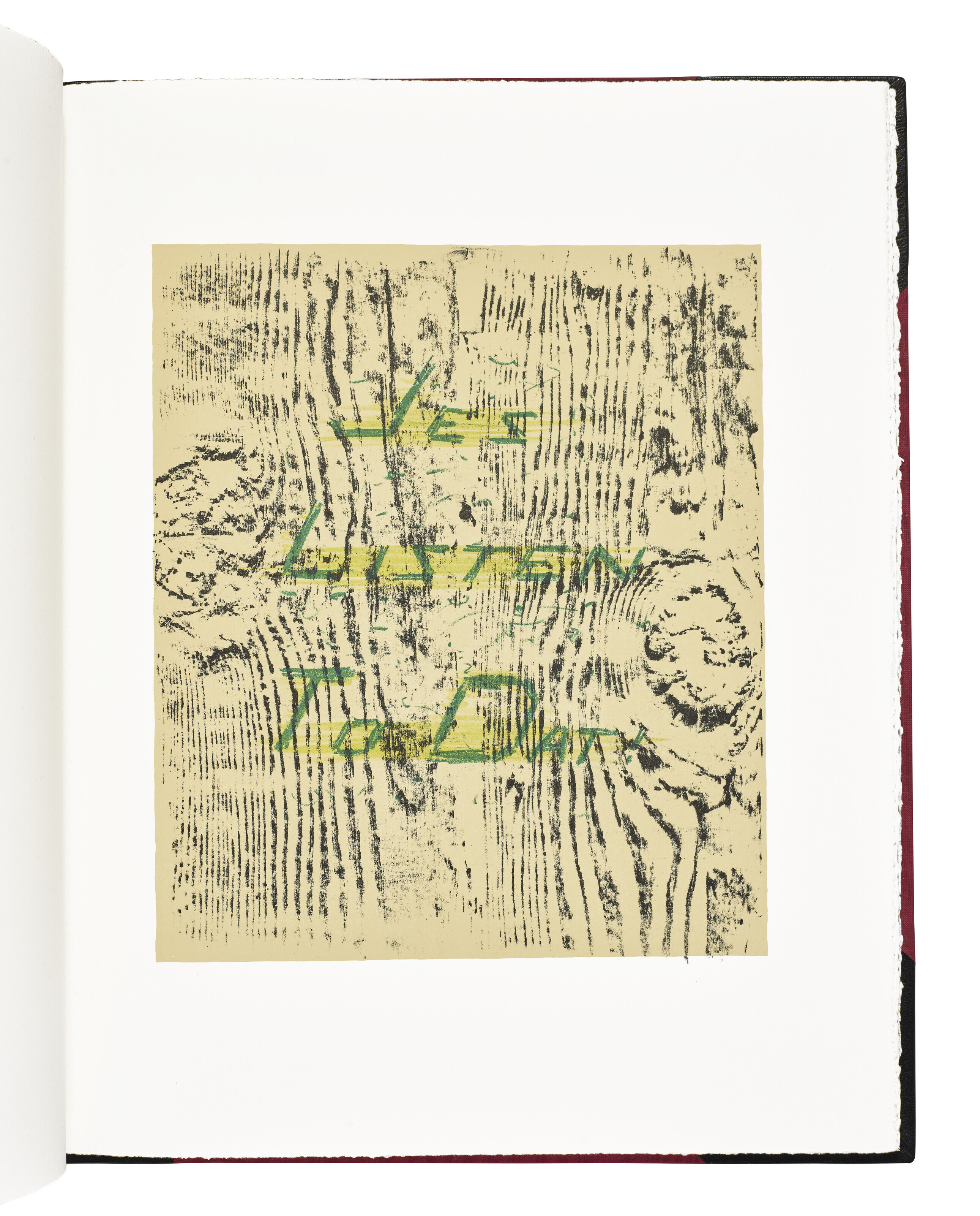 Ed Ruscha — Изречения Марка Твена "Тупоголовый Уилсон", изображение 7