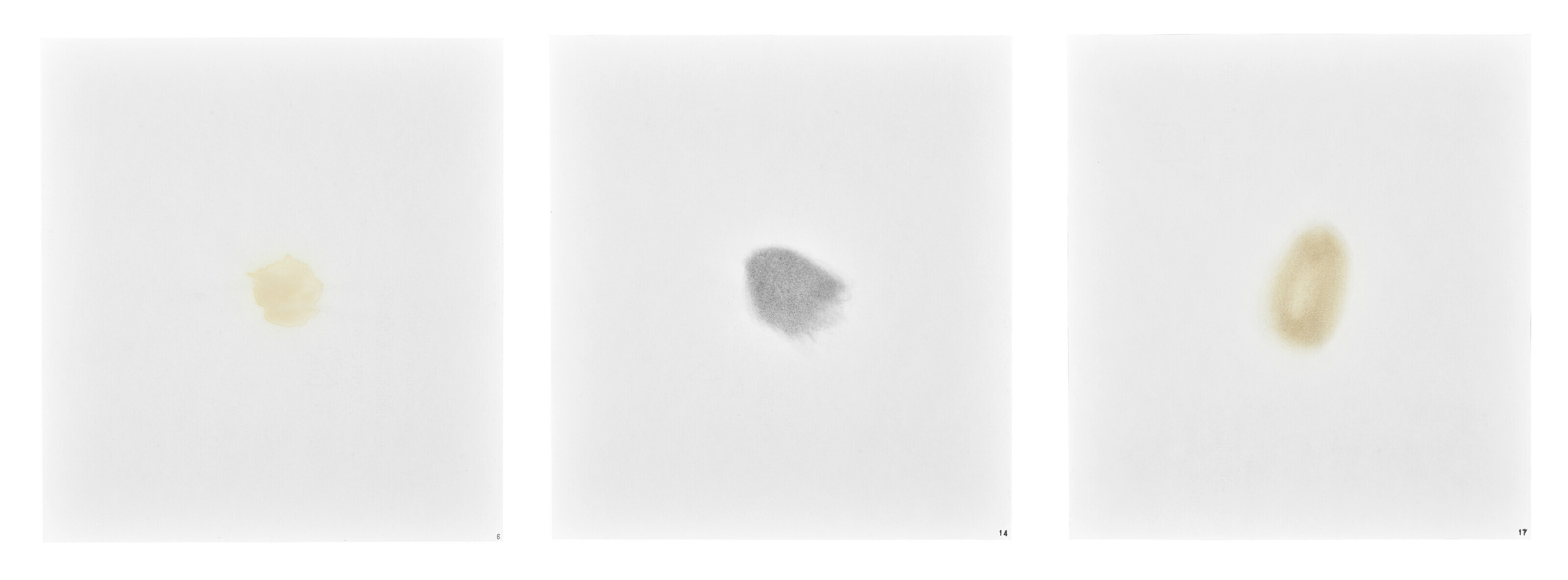 Ed Ruscha — Разводы