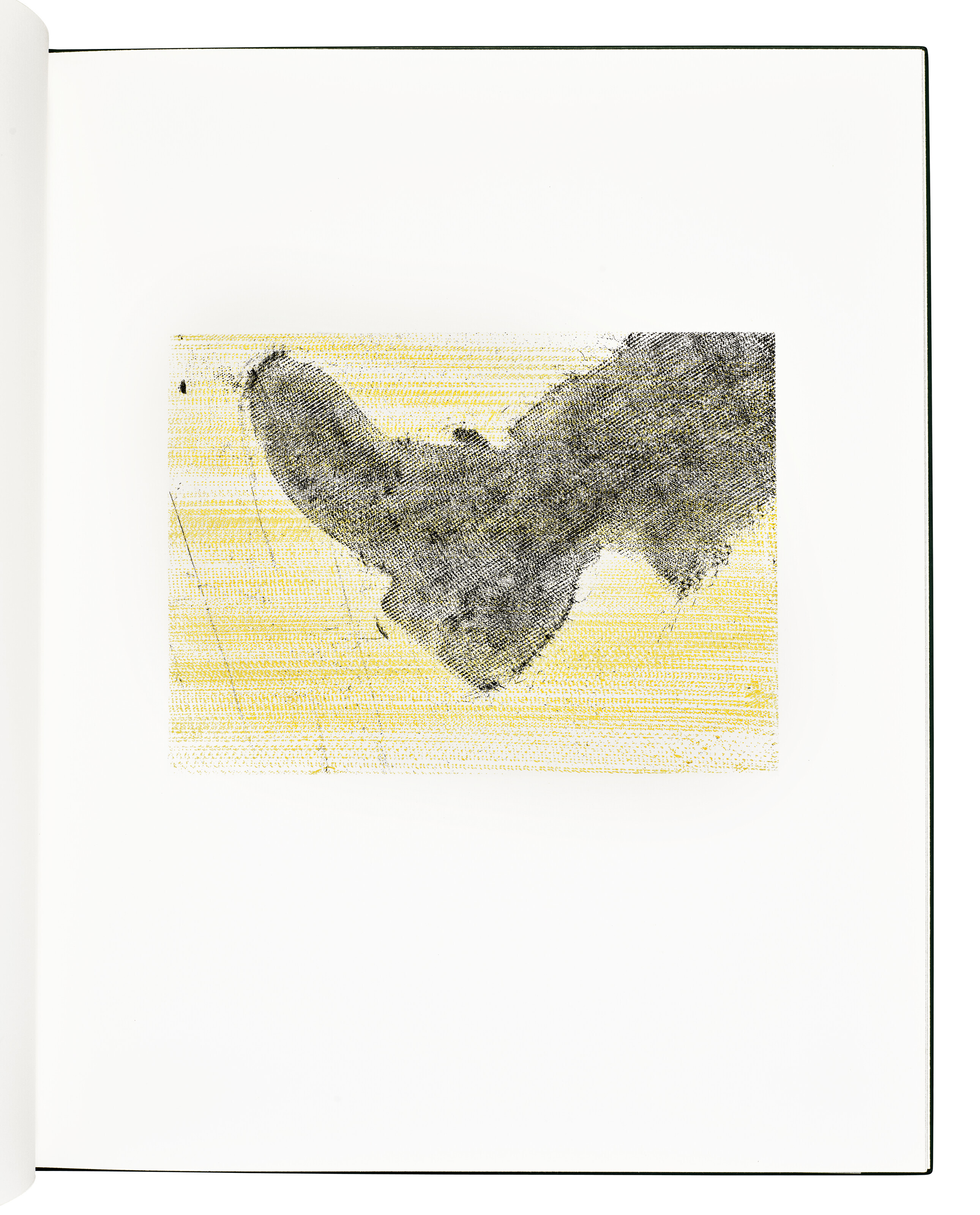 Ed Ruscha — Переворачиваясь, Брыкаясь, Воя, Перекатываясь, Сидя, Стоя, Карабкаясь, Рассказывая, изображение 3