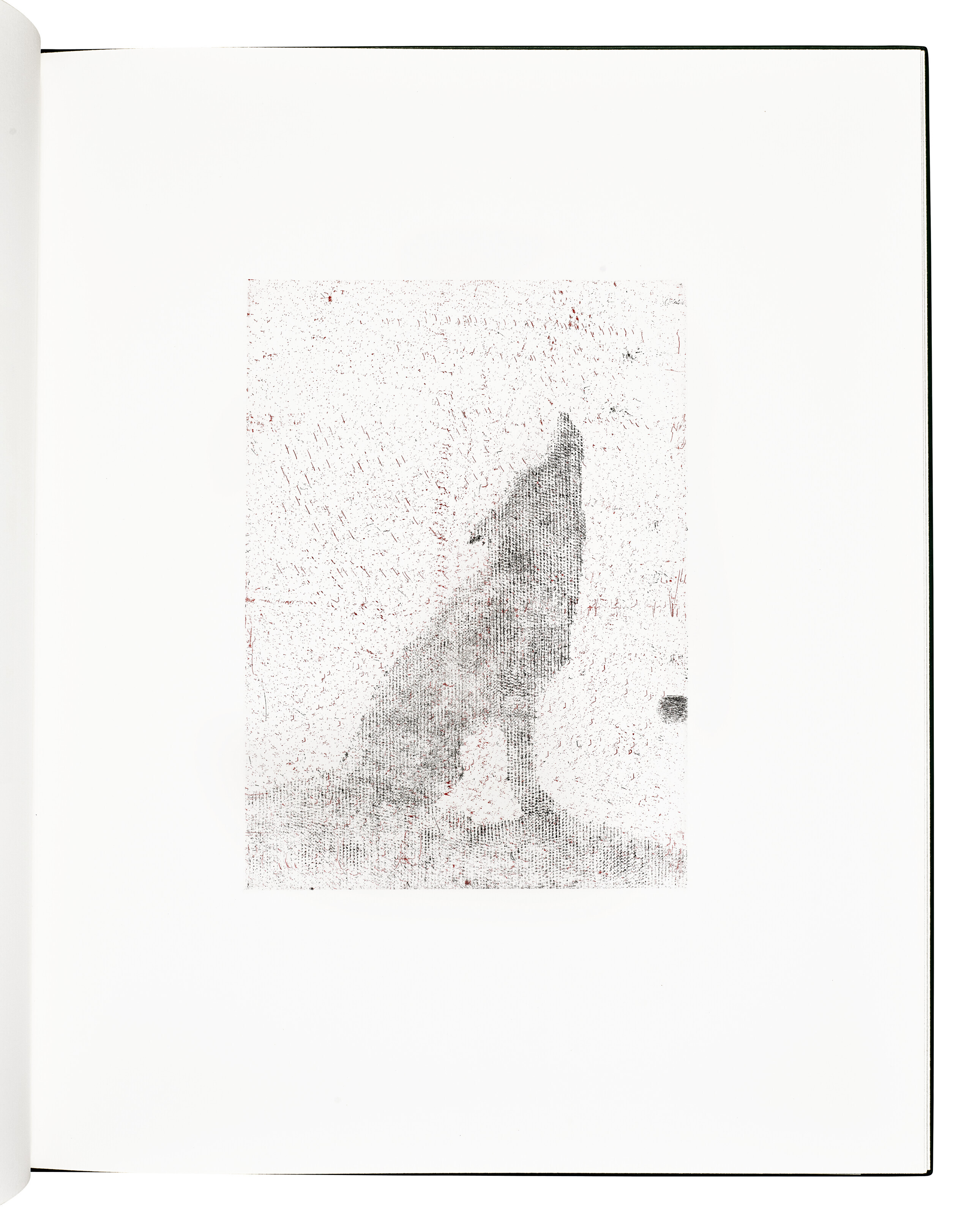 Ed Ruscha — Переворачиваясь, Брыкаясь, Воя, Перекатываясь, Сидя, Стоя, Карабкаясь, Рассказывая, изображение 4