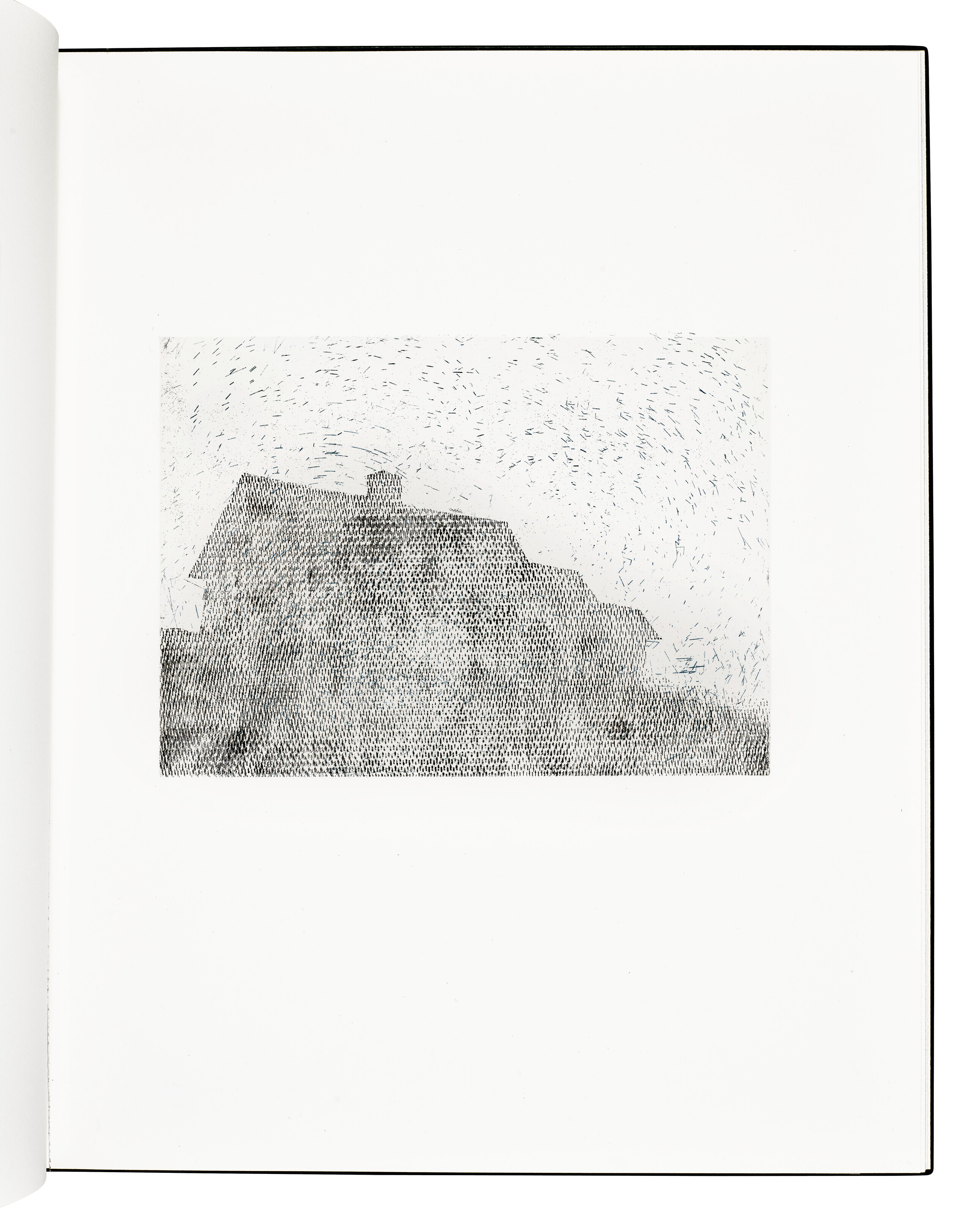 Ed Ruscha — Переворачиваясь, Брыкаясь, Воя, Перекатываясь, Сидя, Стоя, Карабкаясь, Рассказывая, изображение 6
