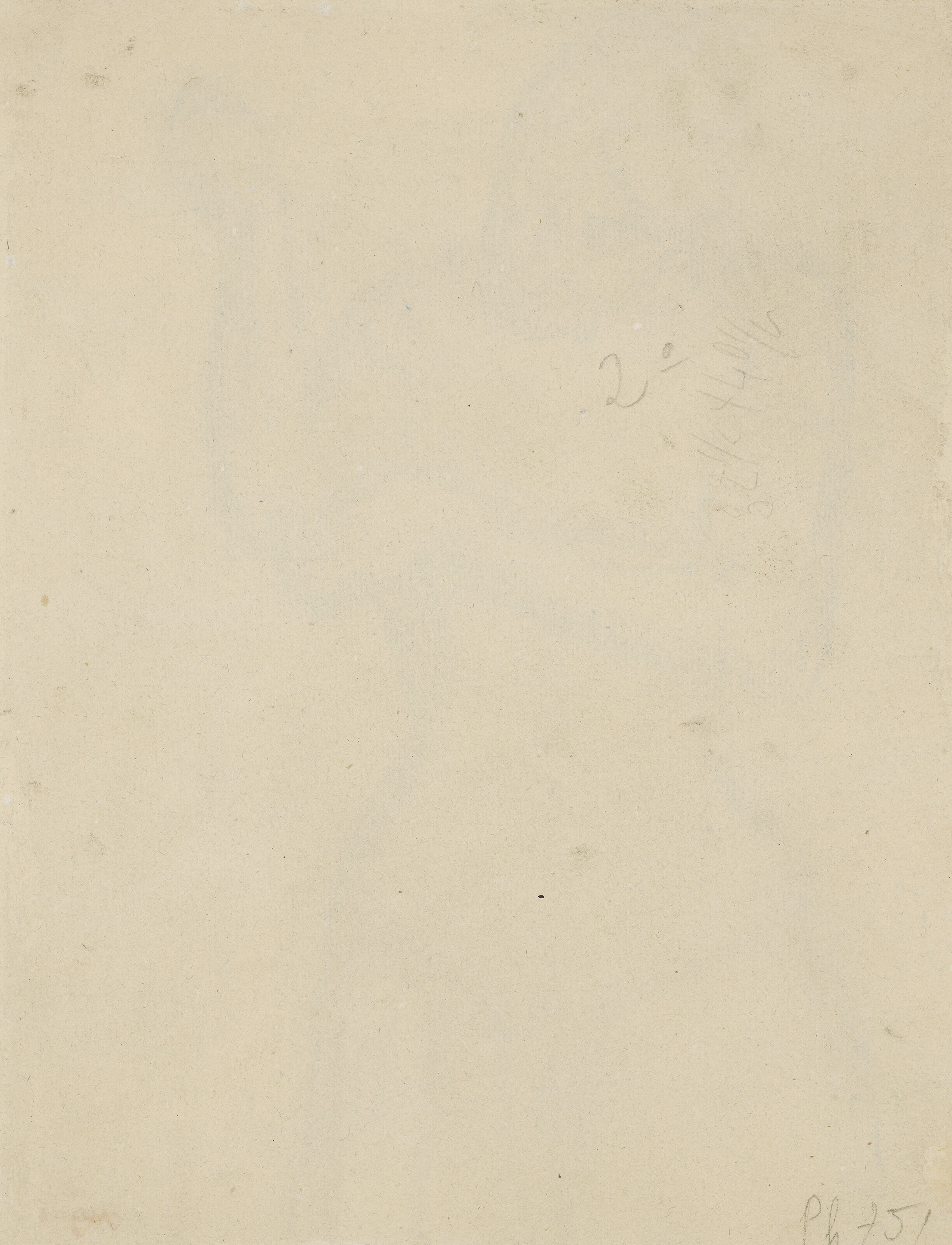 Edgar Degas — Женский корсет, vue de face, изображение 2