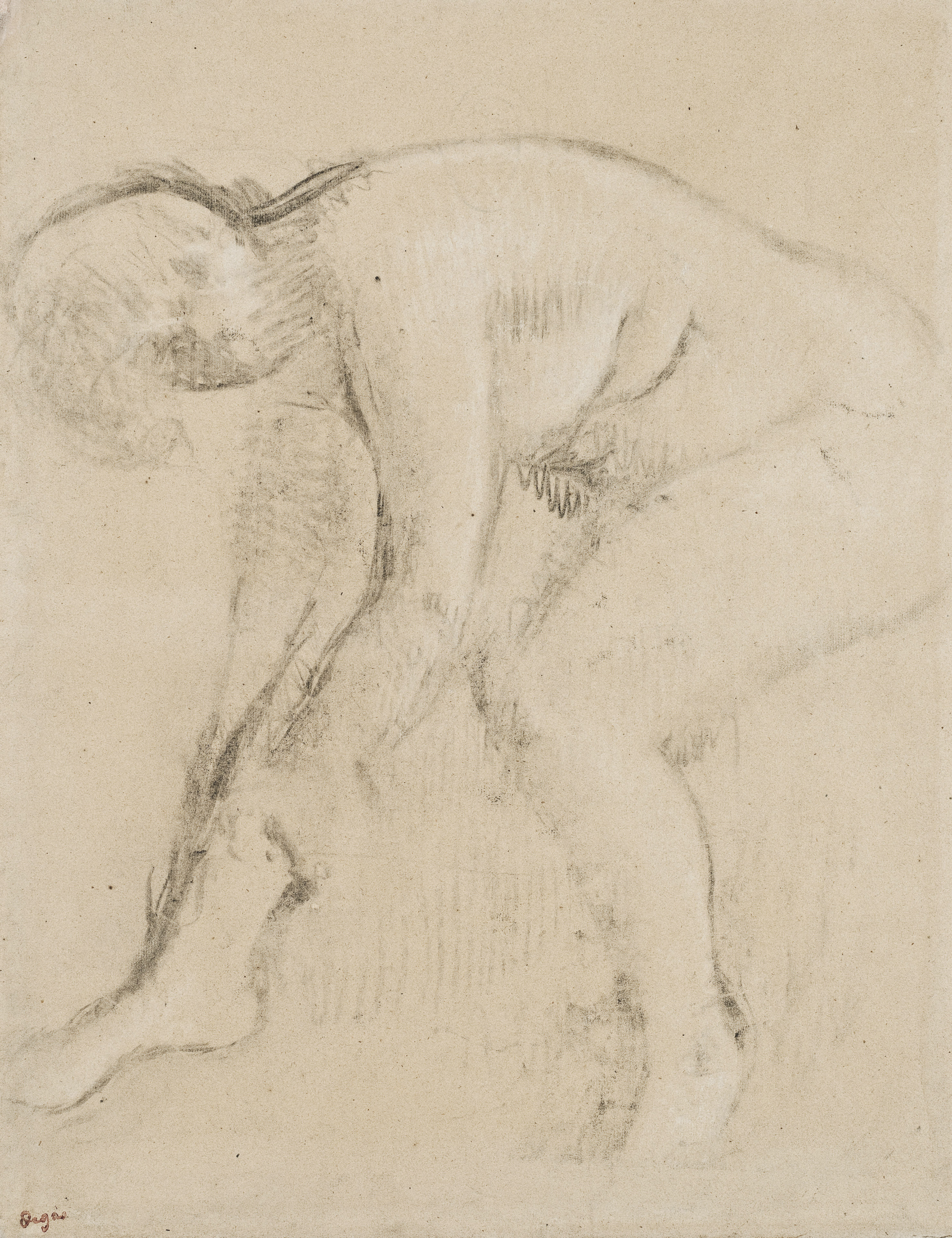 Edgar Degas — Апре-ле-бен, любимая женщина