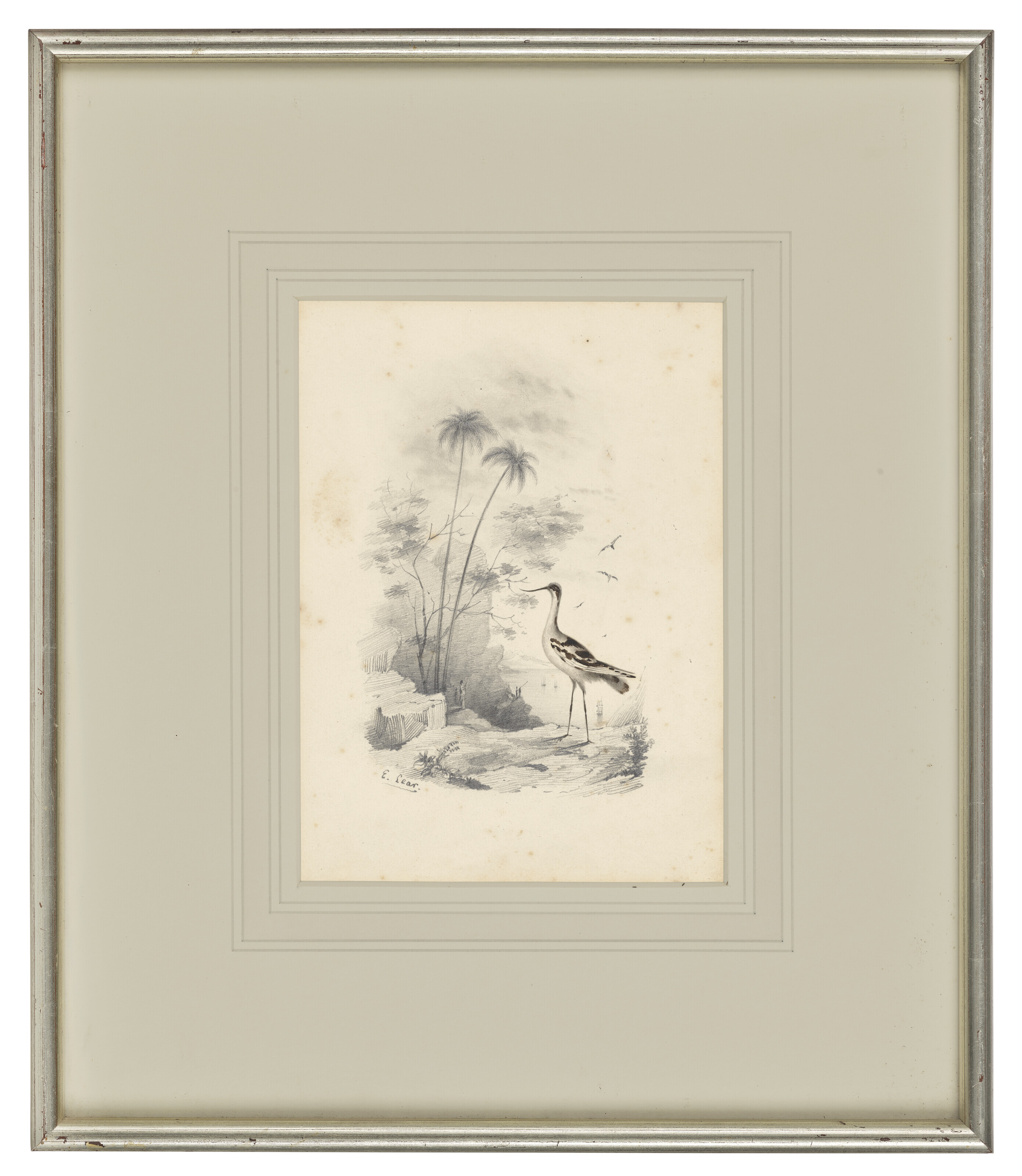 Edward Lear — Четыре виньетки с изображением птиц - пара попугаев, фламинго, авокадо и мергансер, изображение 6
