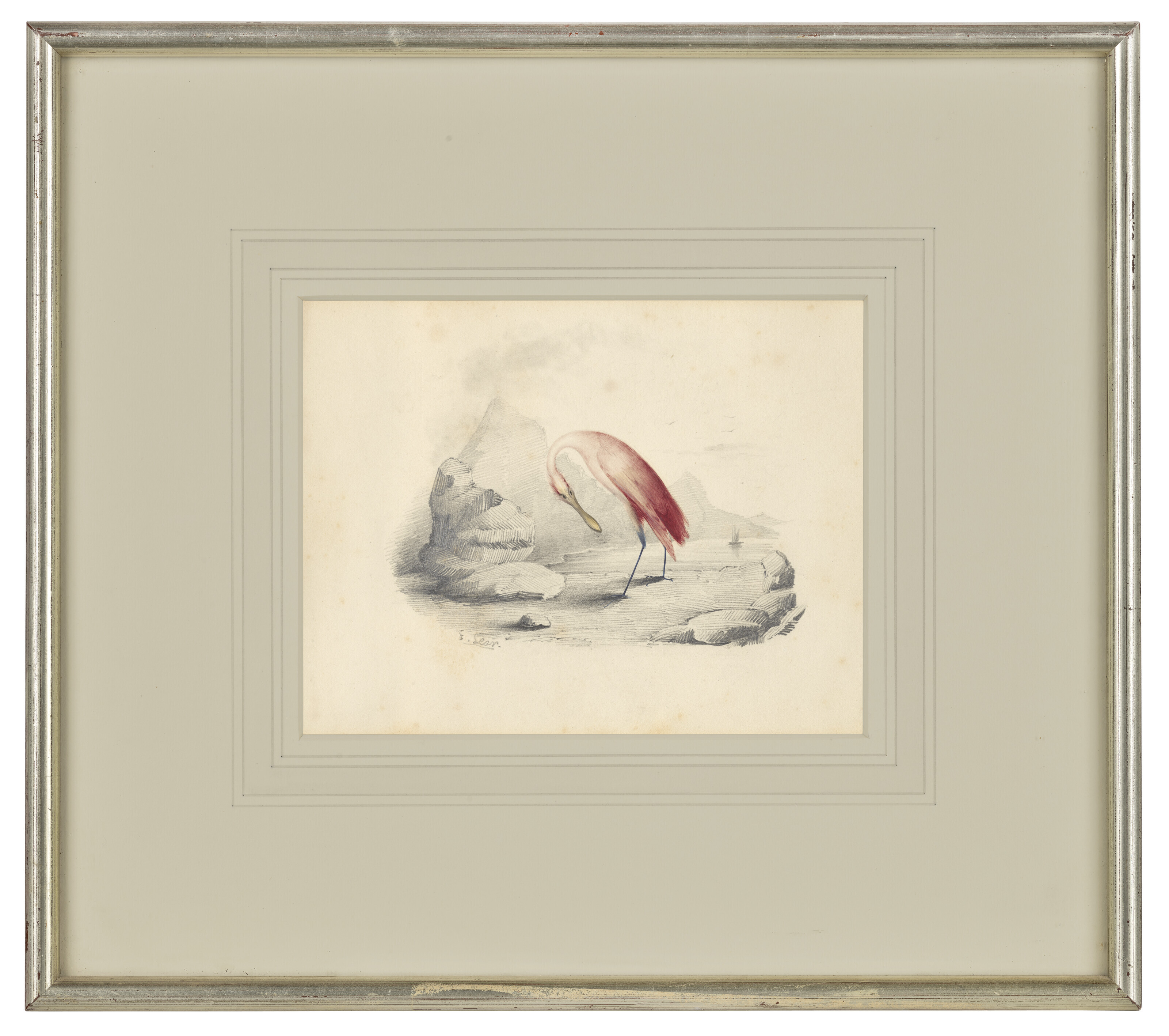 Edward Lear — Четыре виньетки с изображением птиц - пара попугаев, фламинго, авокадо и мергансер, изображение 7