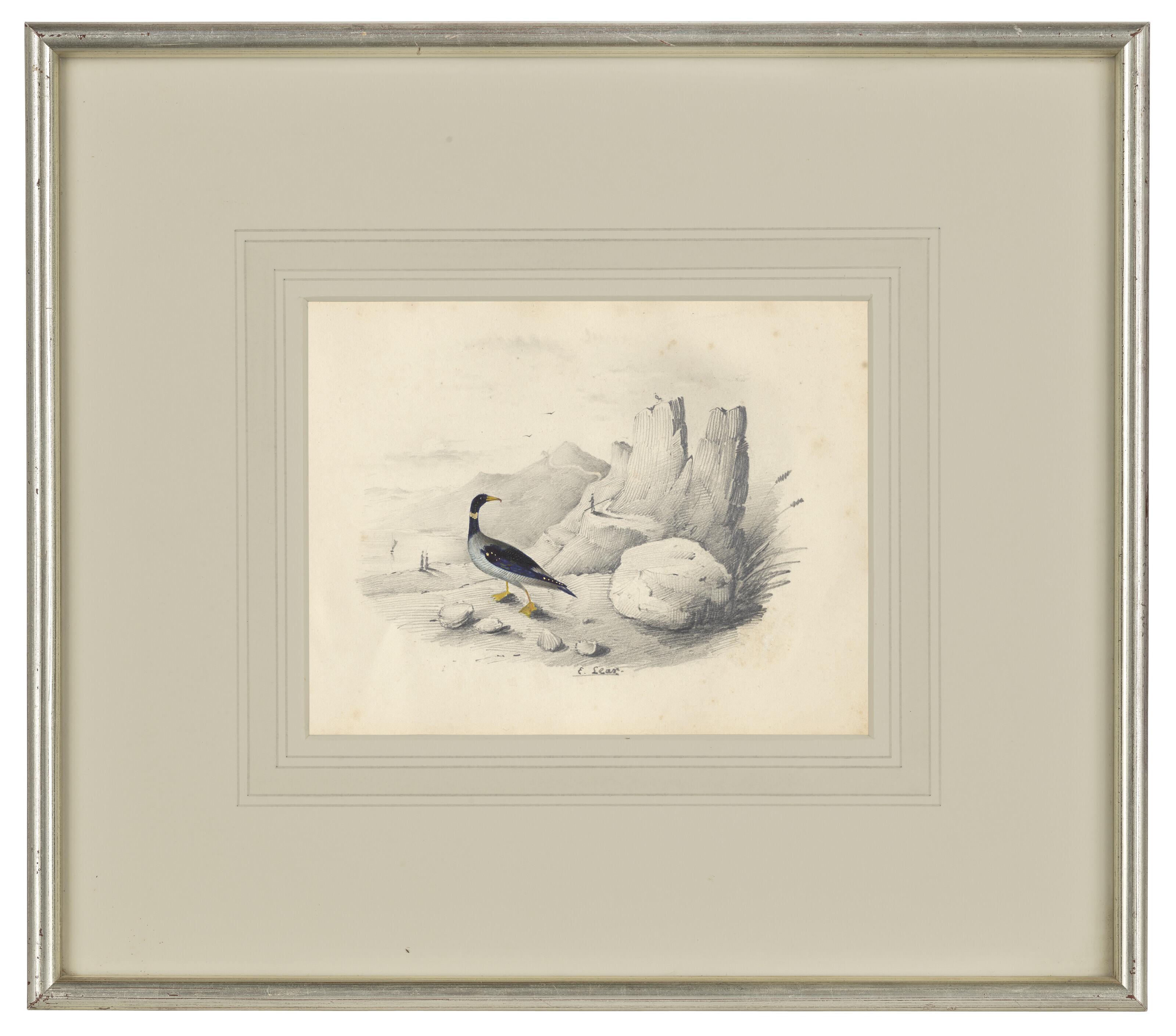 Edward Lear — Четыре виньетки с изображением птиц - пара попугаев, фламинго, авокадо и мергансер, изображение 8
