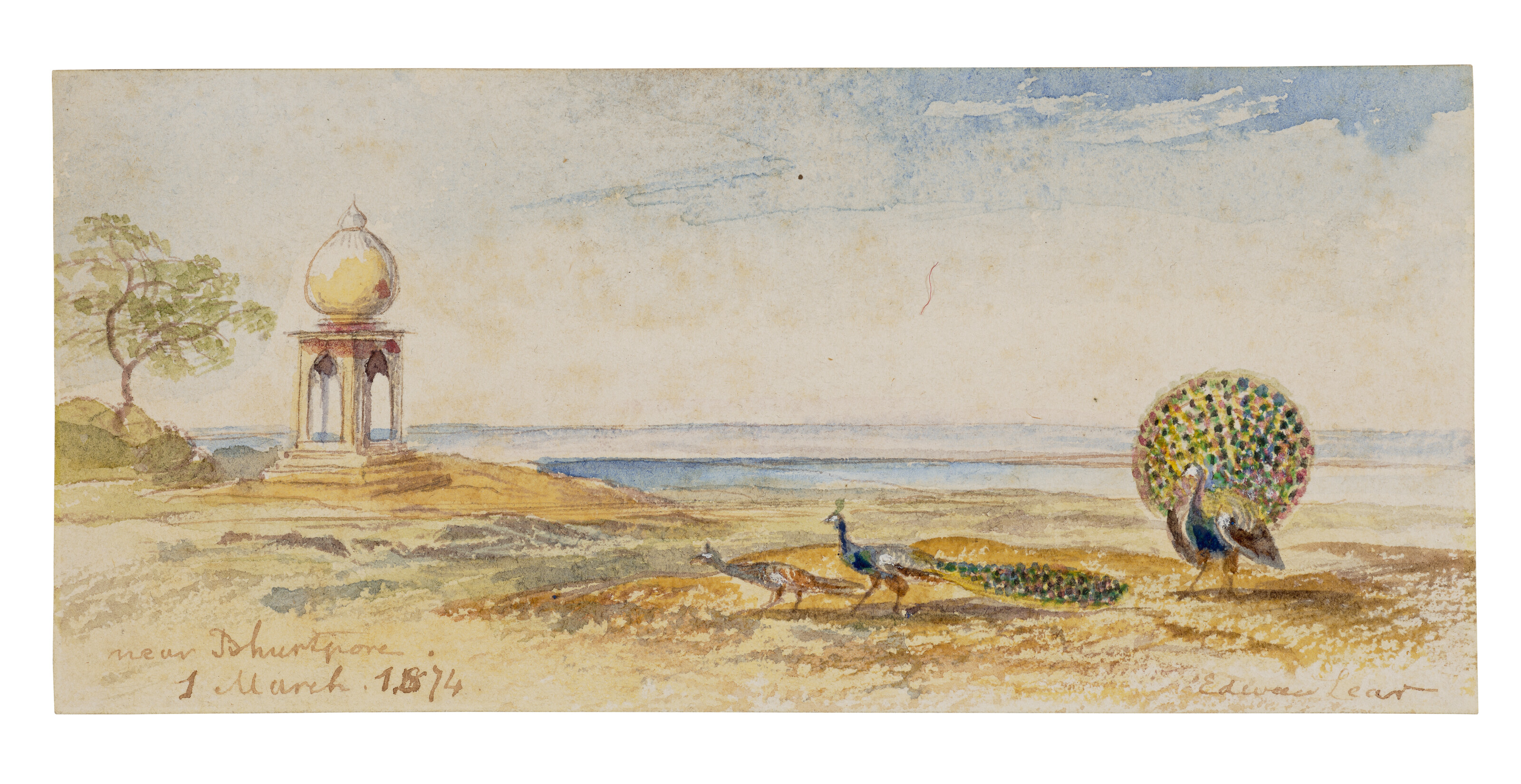 Edward Lear — ПАВЛИНЫ БЛИЗ БХУРТПУРА, СЕВЕРНАЯ ИНДИЯ