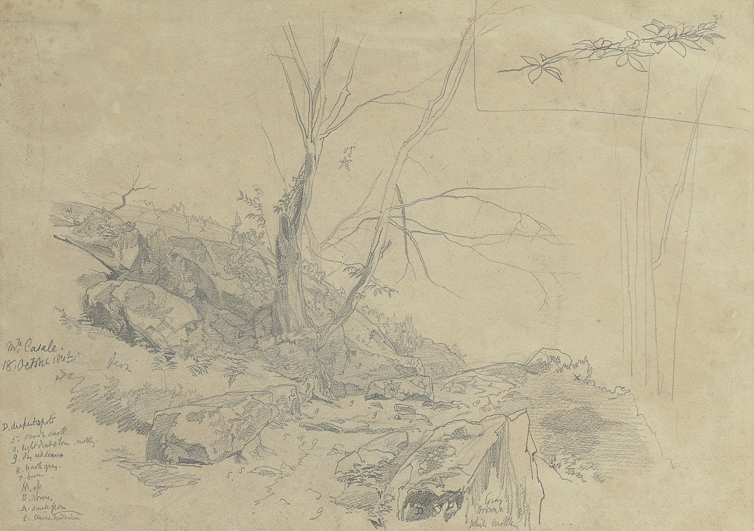 Edward Lear — Каменистый склон