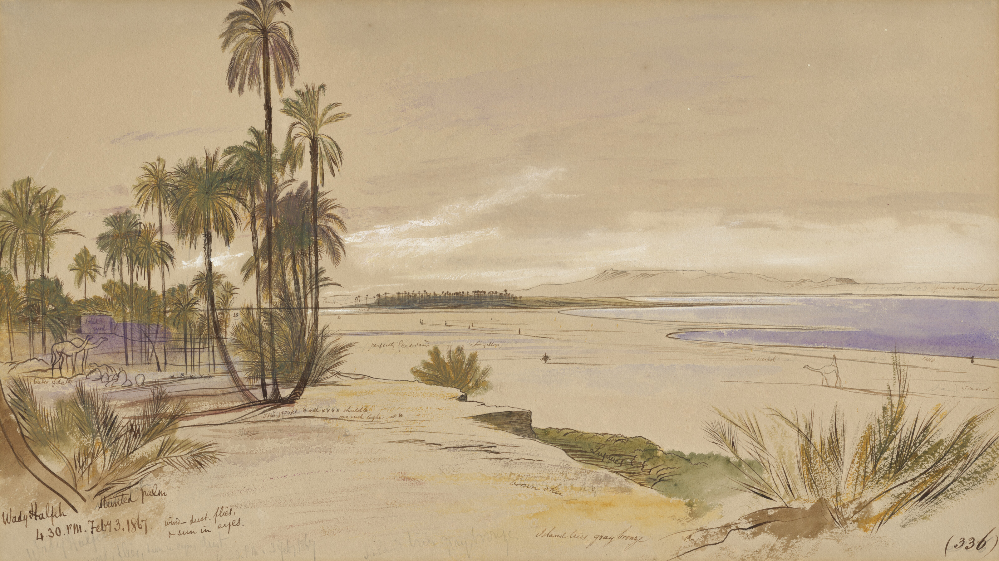 Edward Lear — Вади-Хальфа, Судан