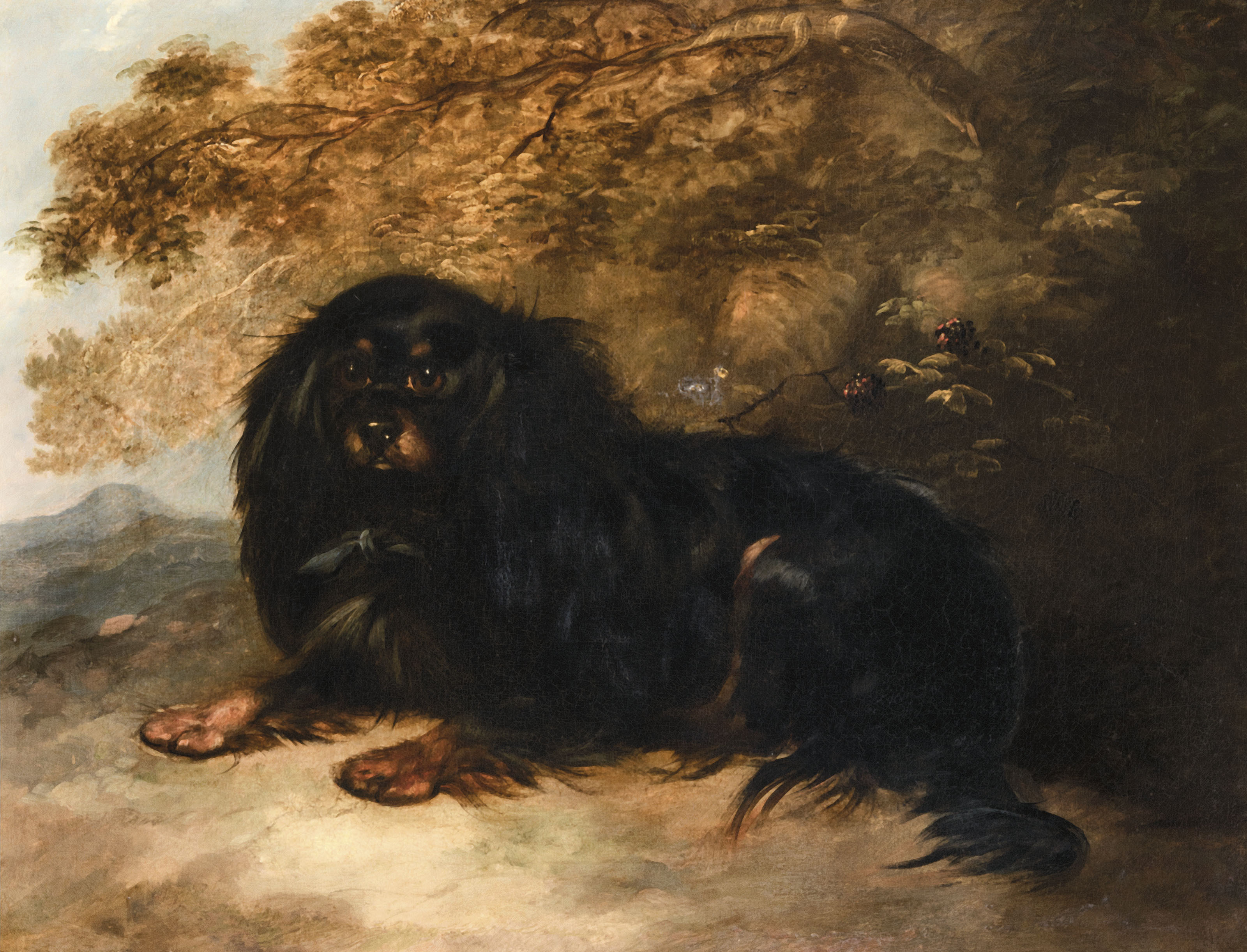 Edwin Henry Landseer — Бленхеймский кавалер Кинг Чарльз спаниель, лежащий полулежа, изображение 3