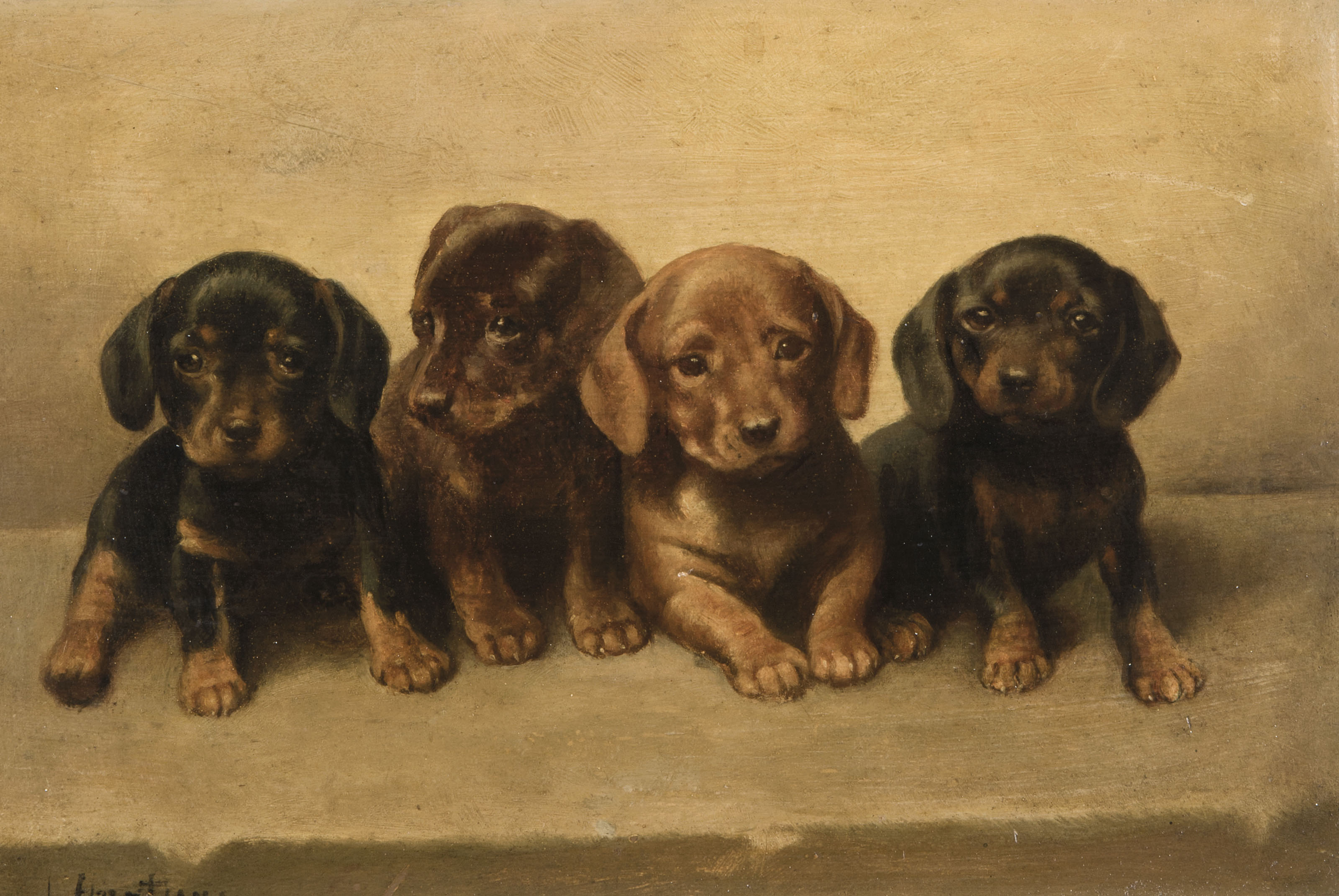 Edwin Henry Landseer — Исследование четырех щенков таксы, изображение 2