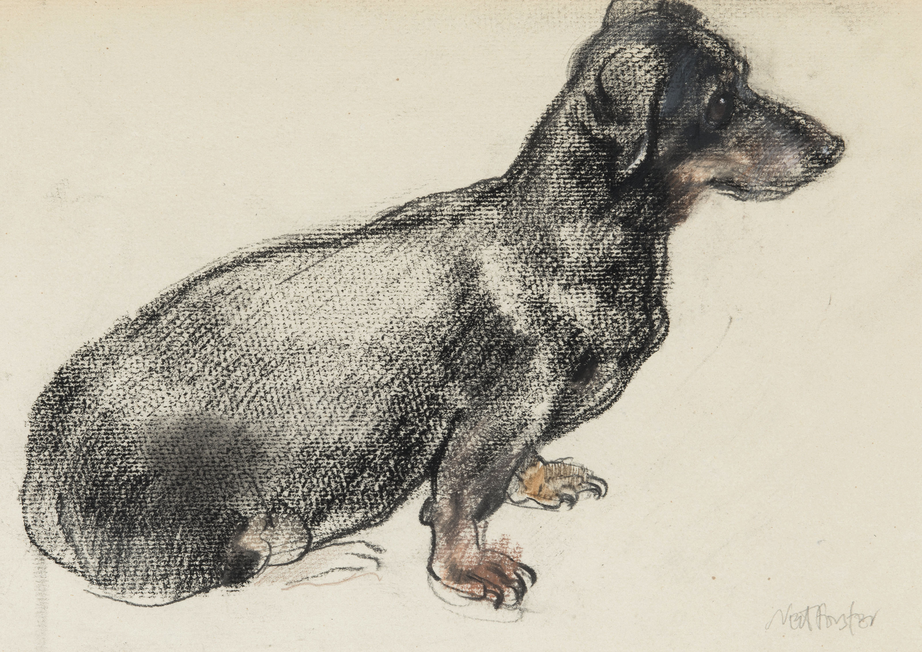 Edwin Henry Landseer — Исследование четырех щенков таксы, изображение 3