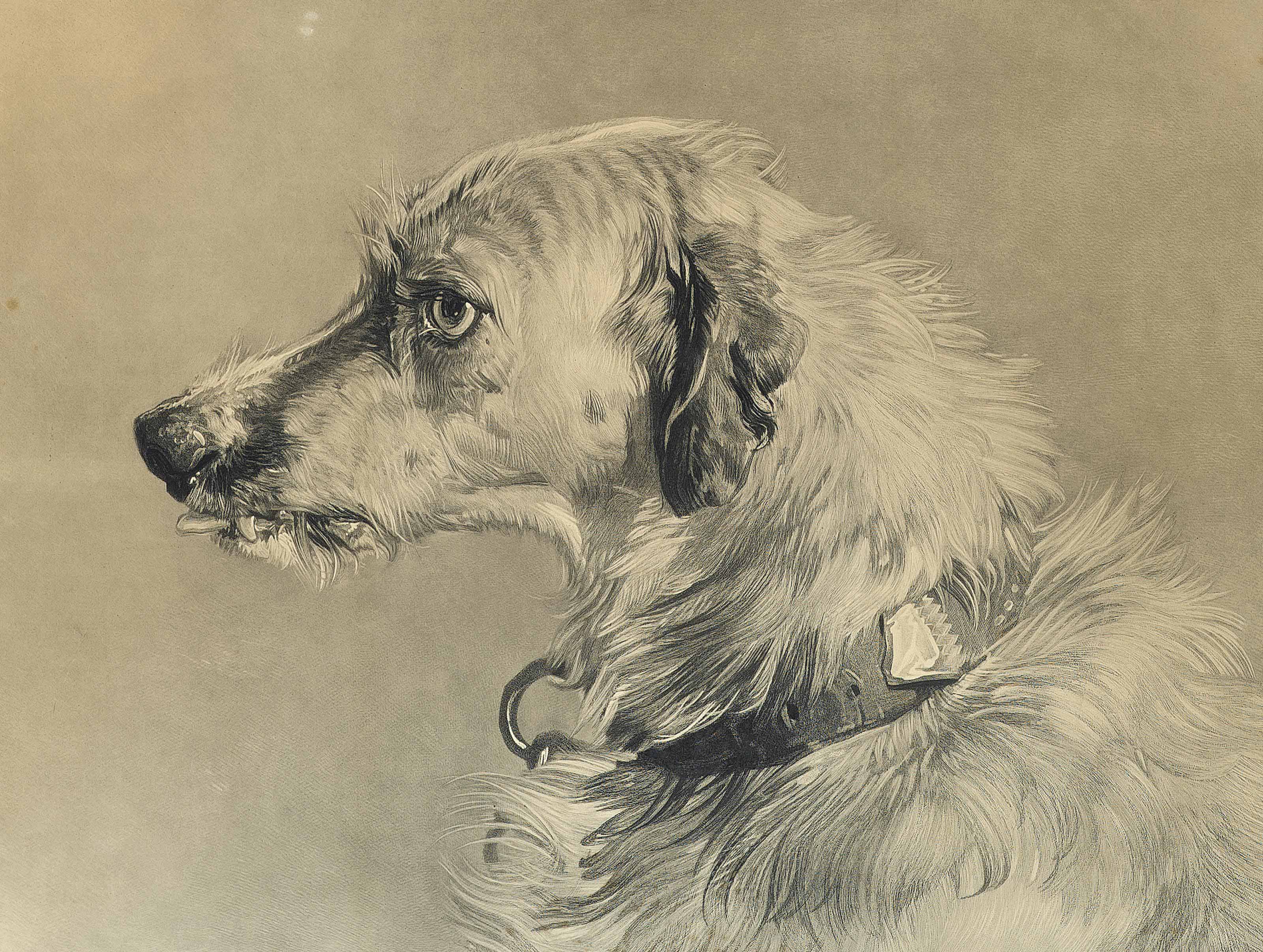 Edwin Henry Landseer — Ирландский волкодав