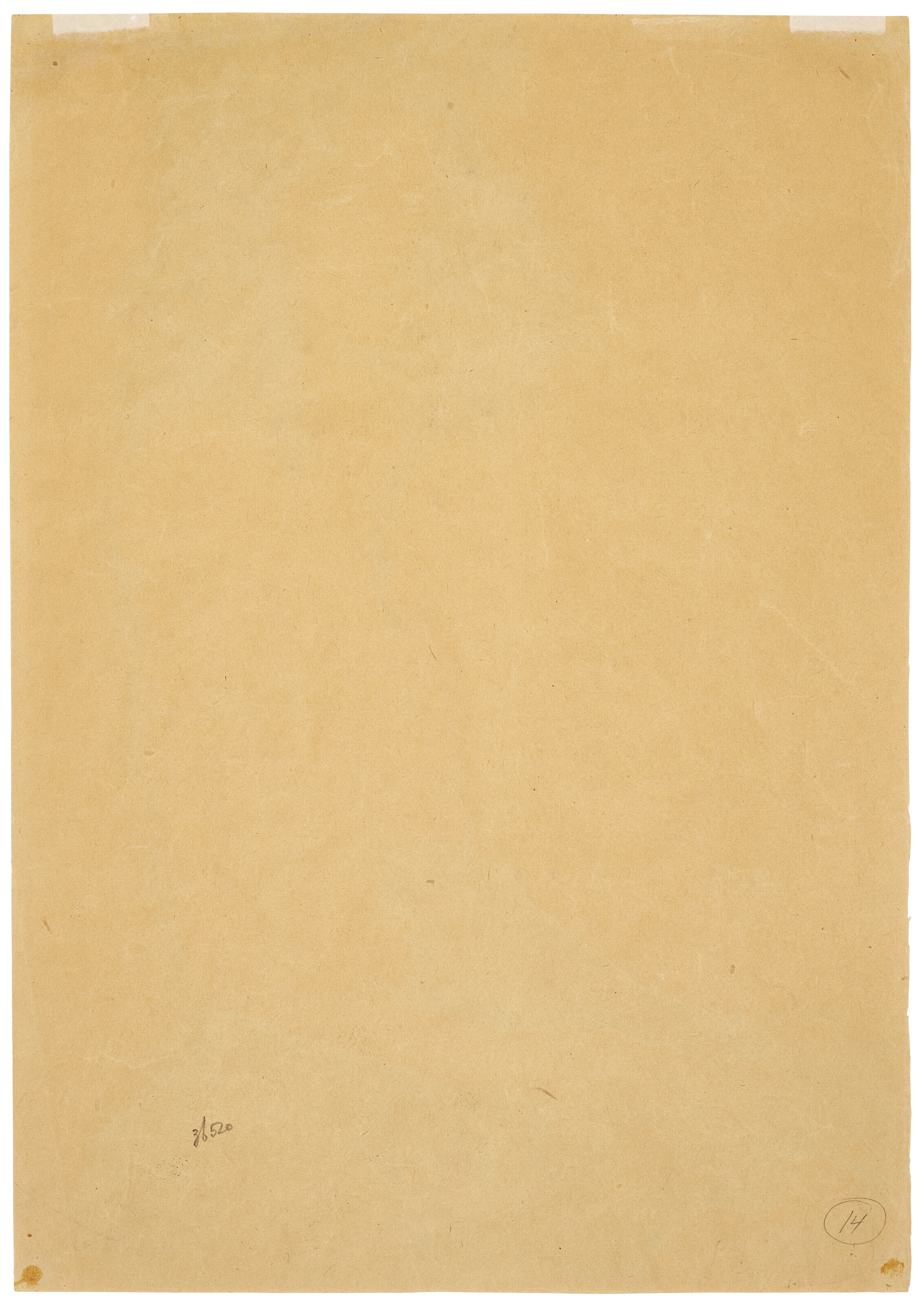 Egon Schiele — Шварцес Медхен, изображение 3