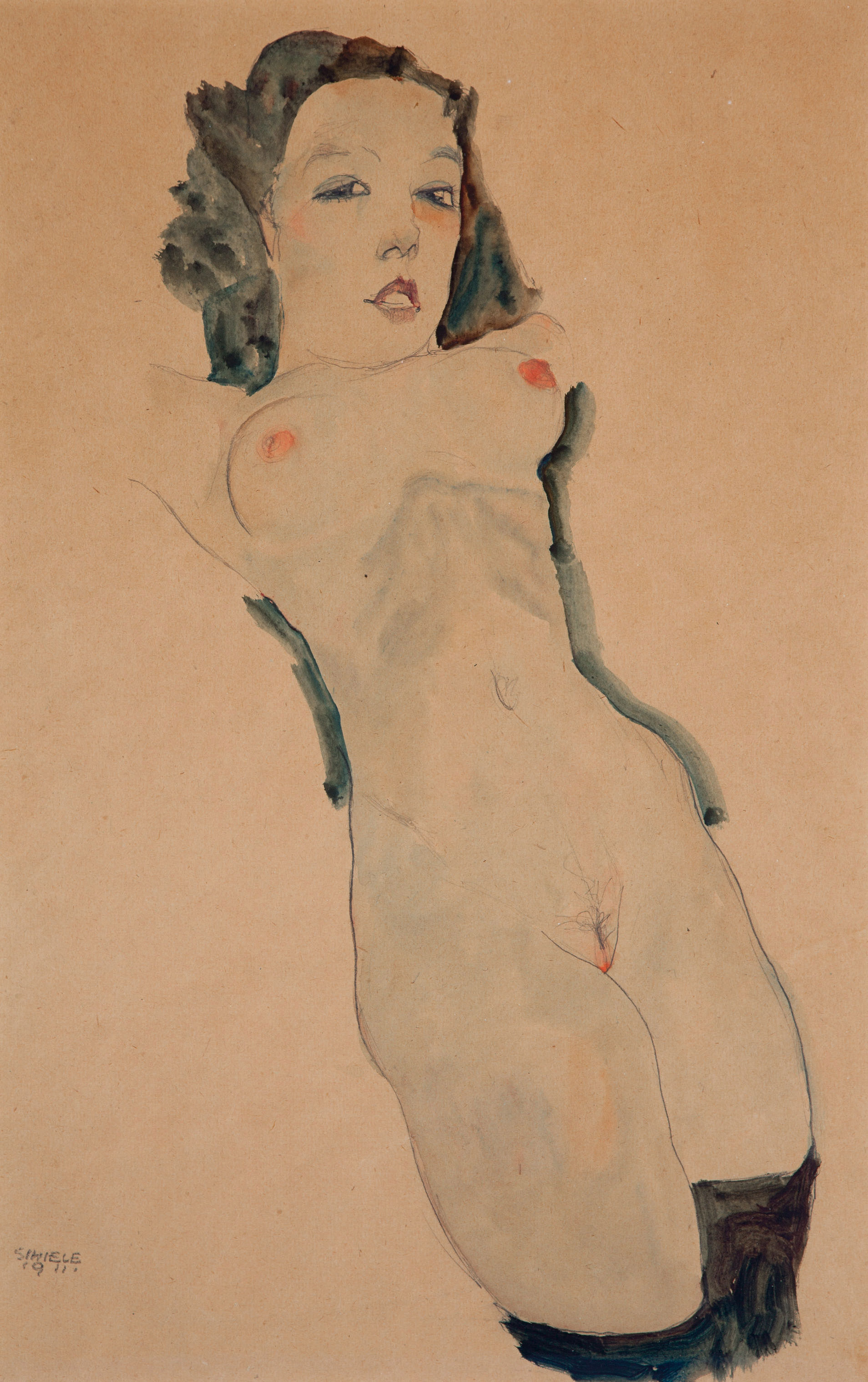 Egon Schiele — Адвокат из института Шварцена Струмпфена